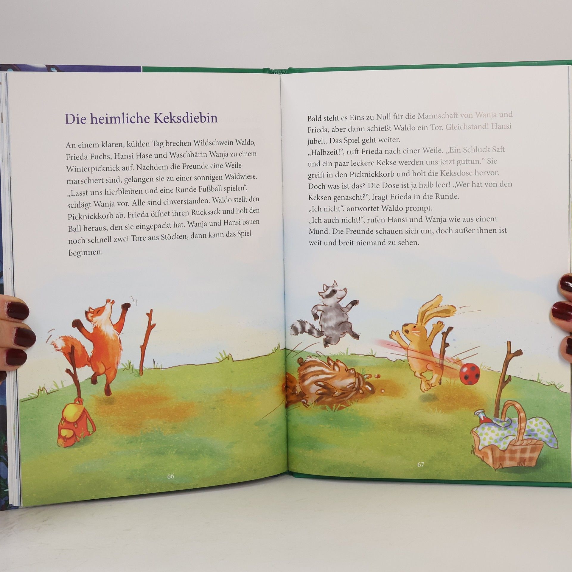 Autores varios Geschichten aus dem Winterwald
