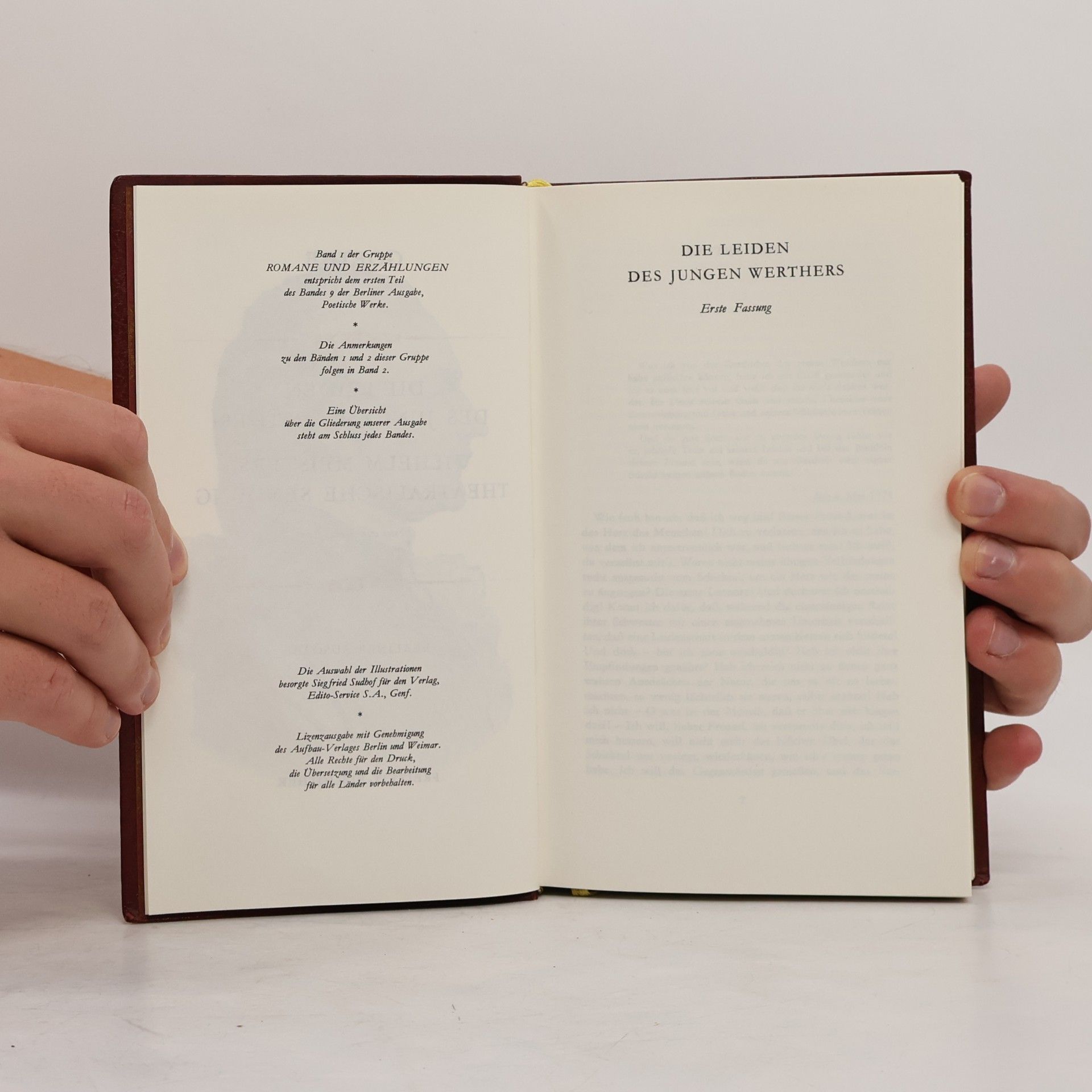 Johann Wolfgang von Goethe Romane und Erzählungen 1