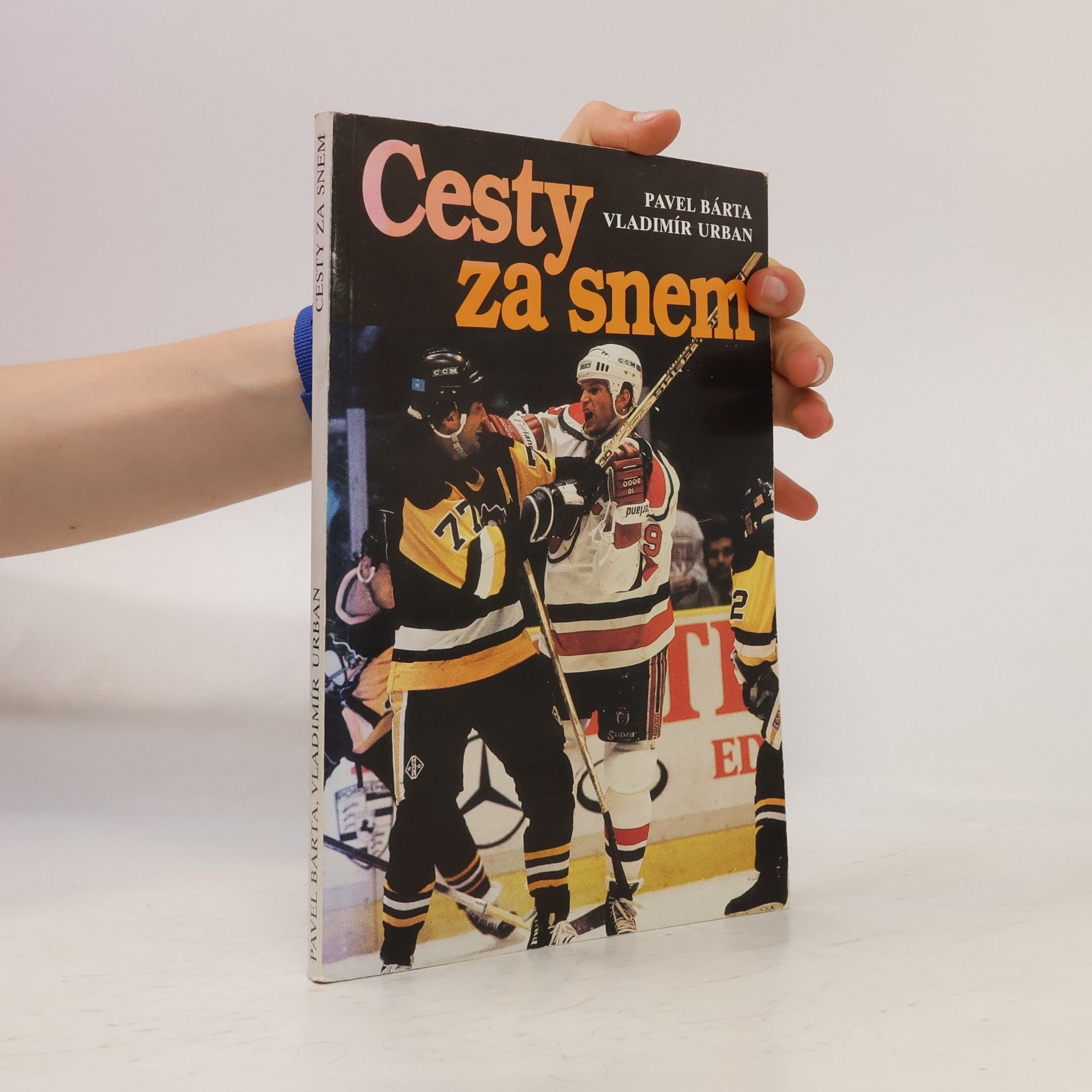 Cesty za snem