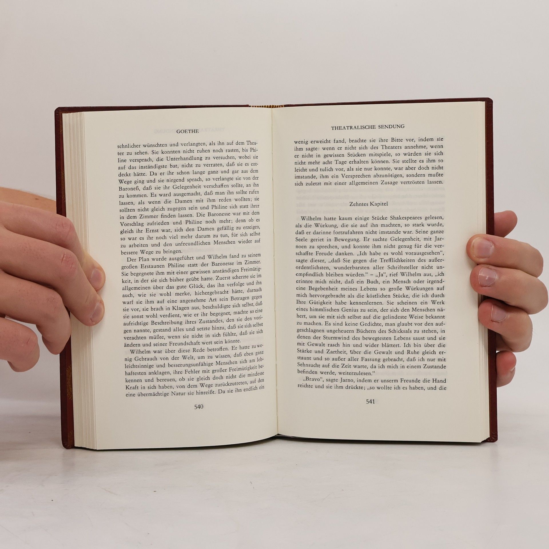 Johann Wolfgang von Goethe Romane und Erzählungen 2