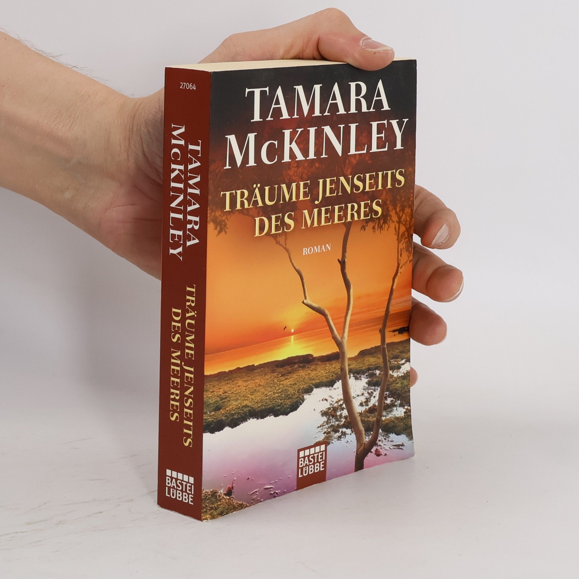 Tamara McKinley Träume jenseits des Meeres