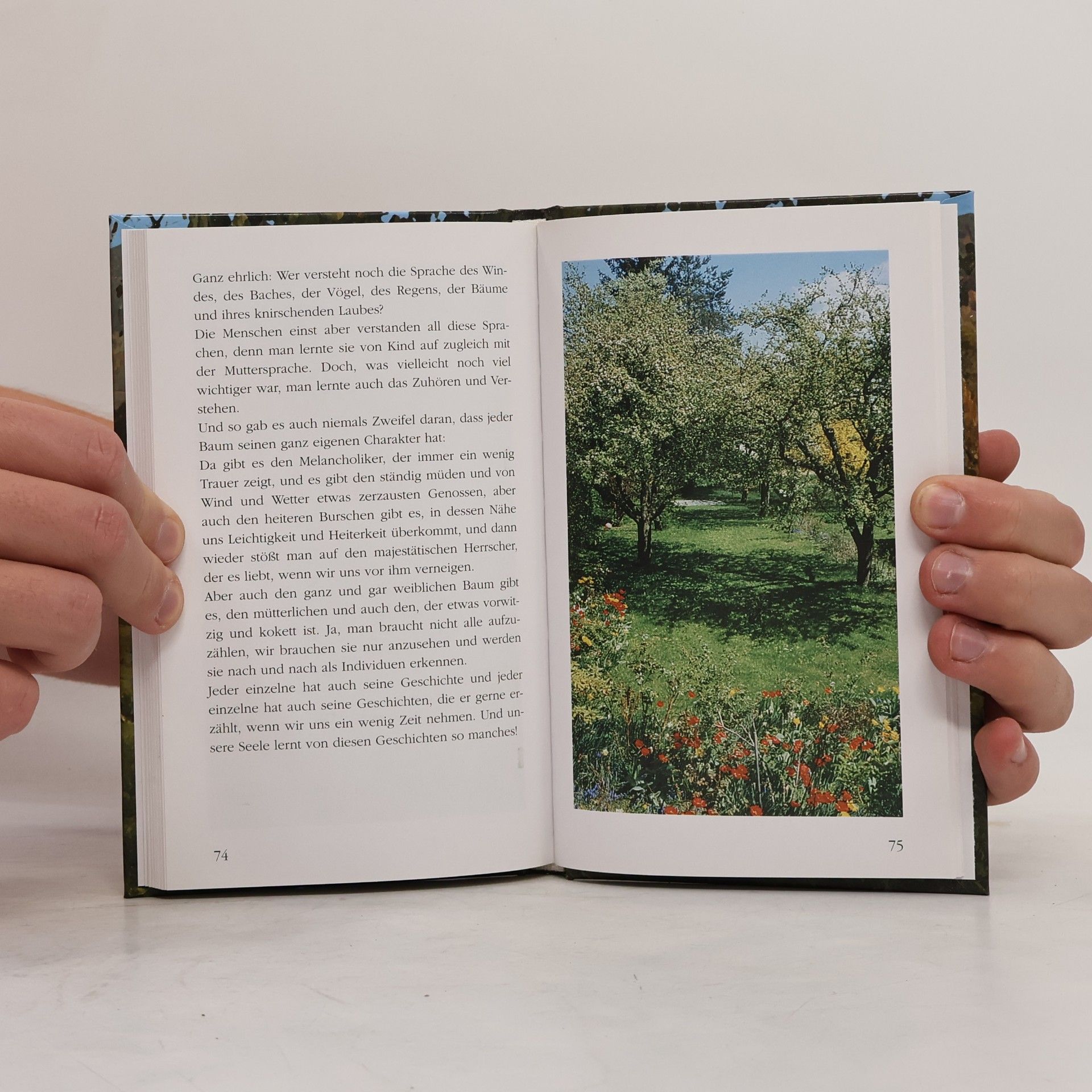 Ernst Müller Schenk' deiner Seele einen Baum