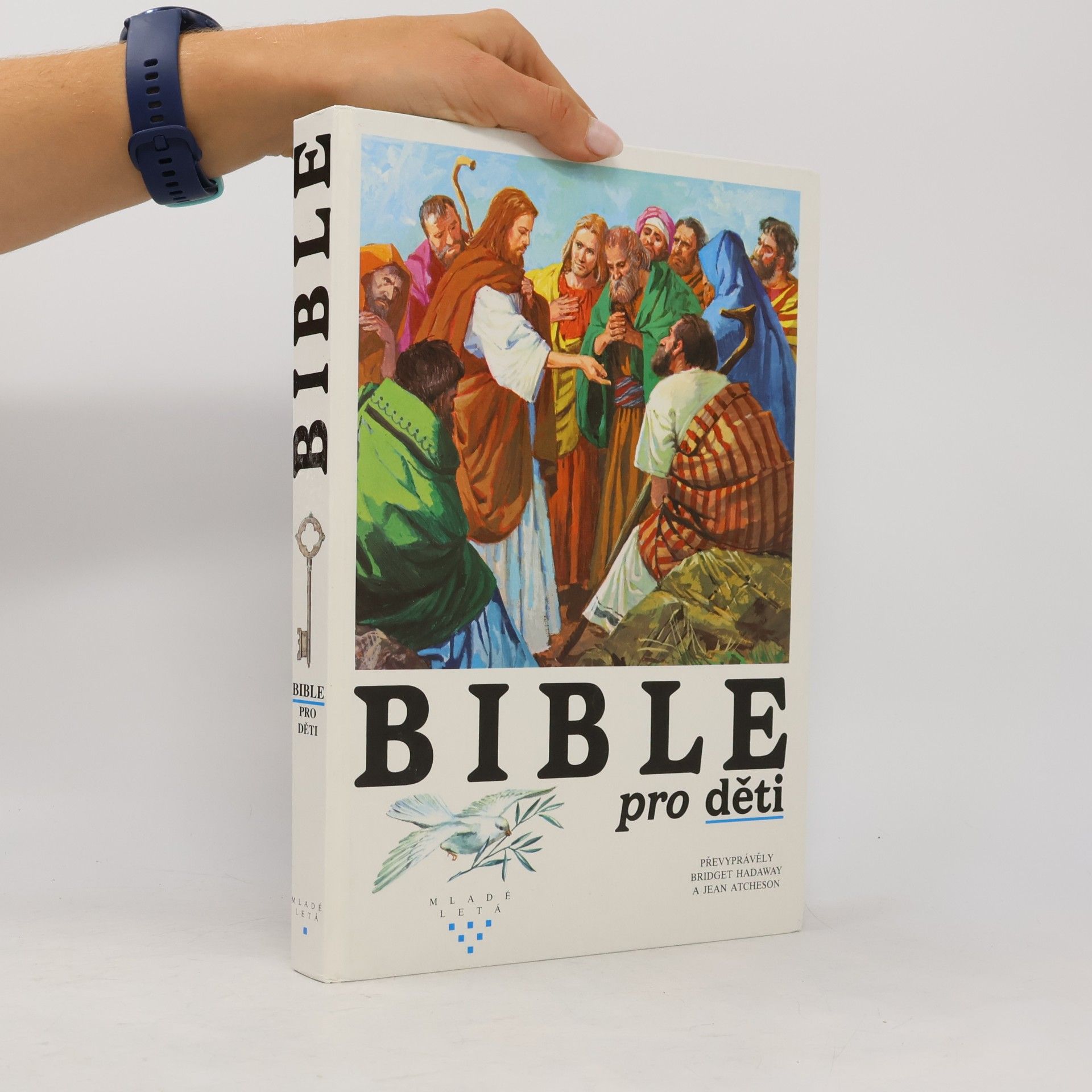 Bridget Hadaway Bible pro děti