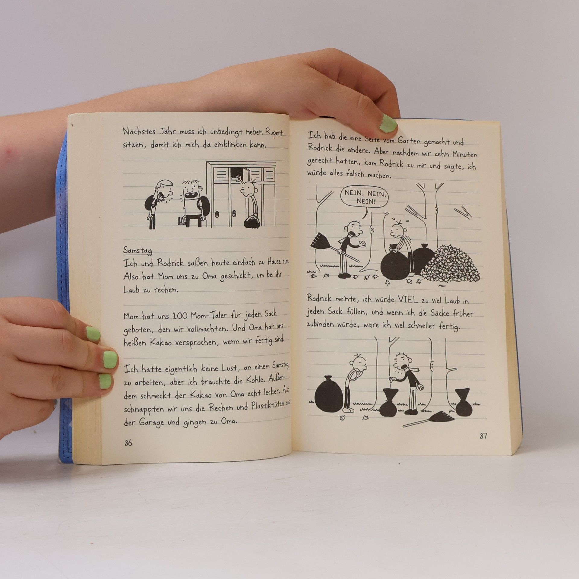 Jeff Kinney Gregs Tagebuch 2. Gibt's Probleme?