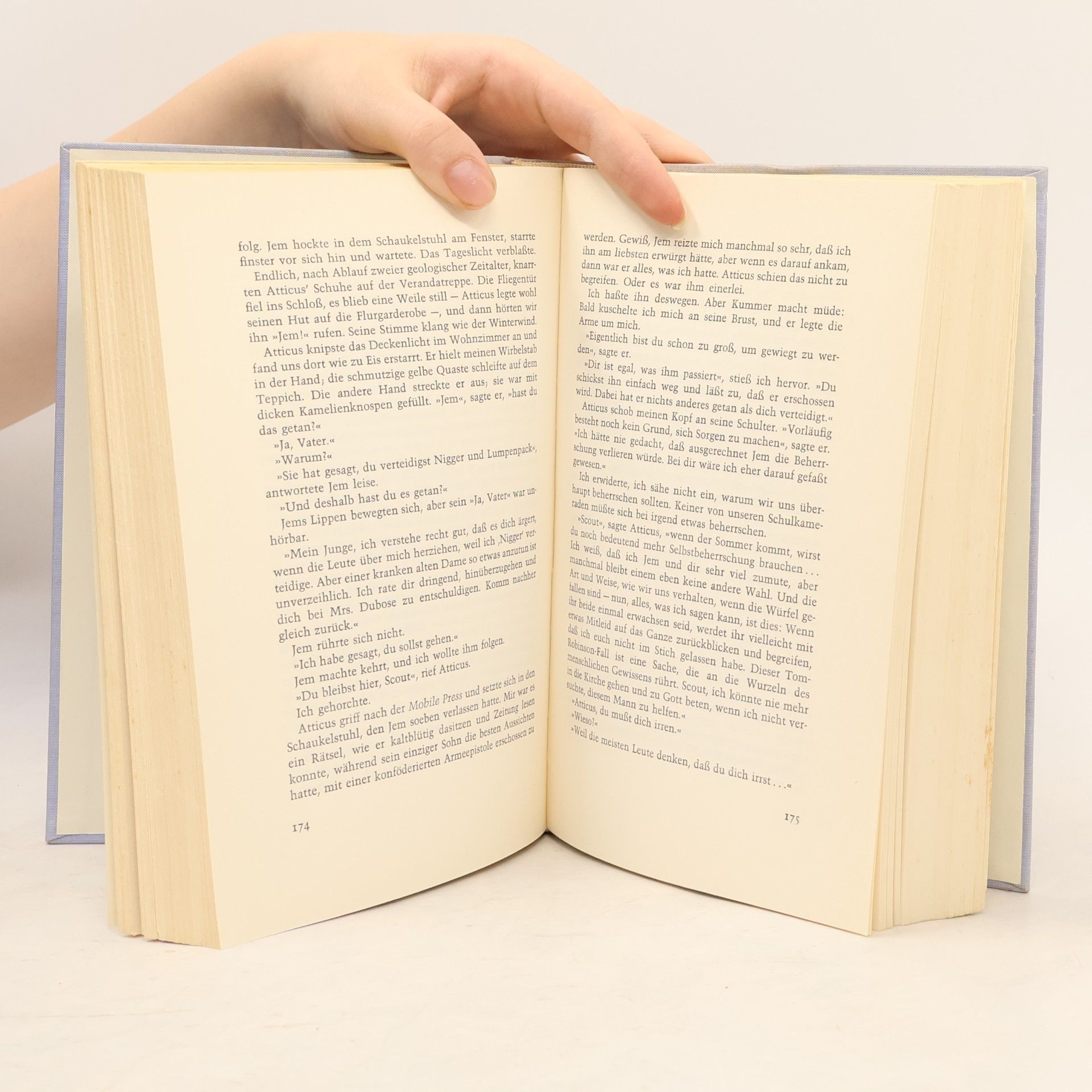 Harper Lee Wer die Nachtigall stört...