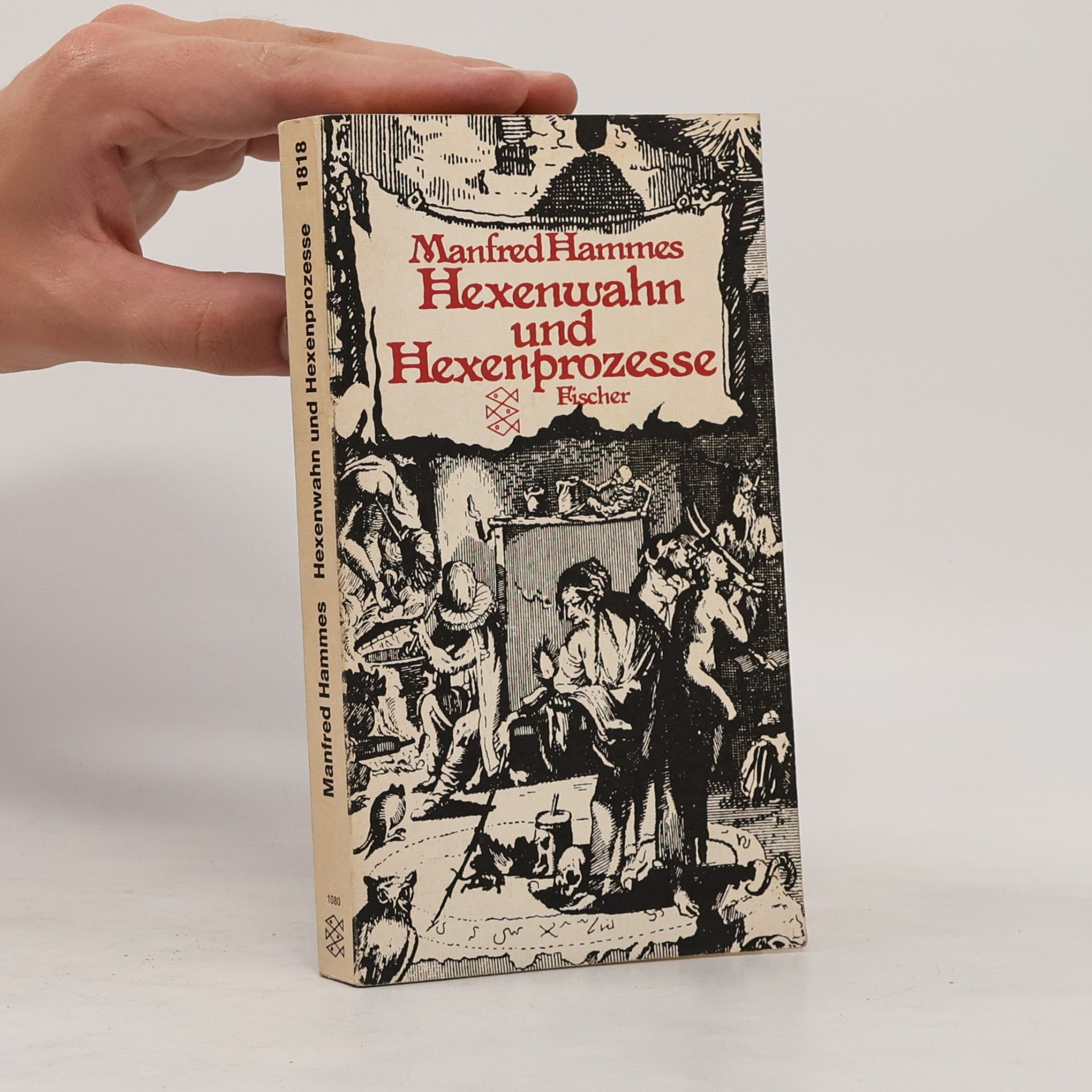 Manfred Hammes Hexenwahn und Hexenprozesse