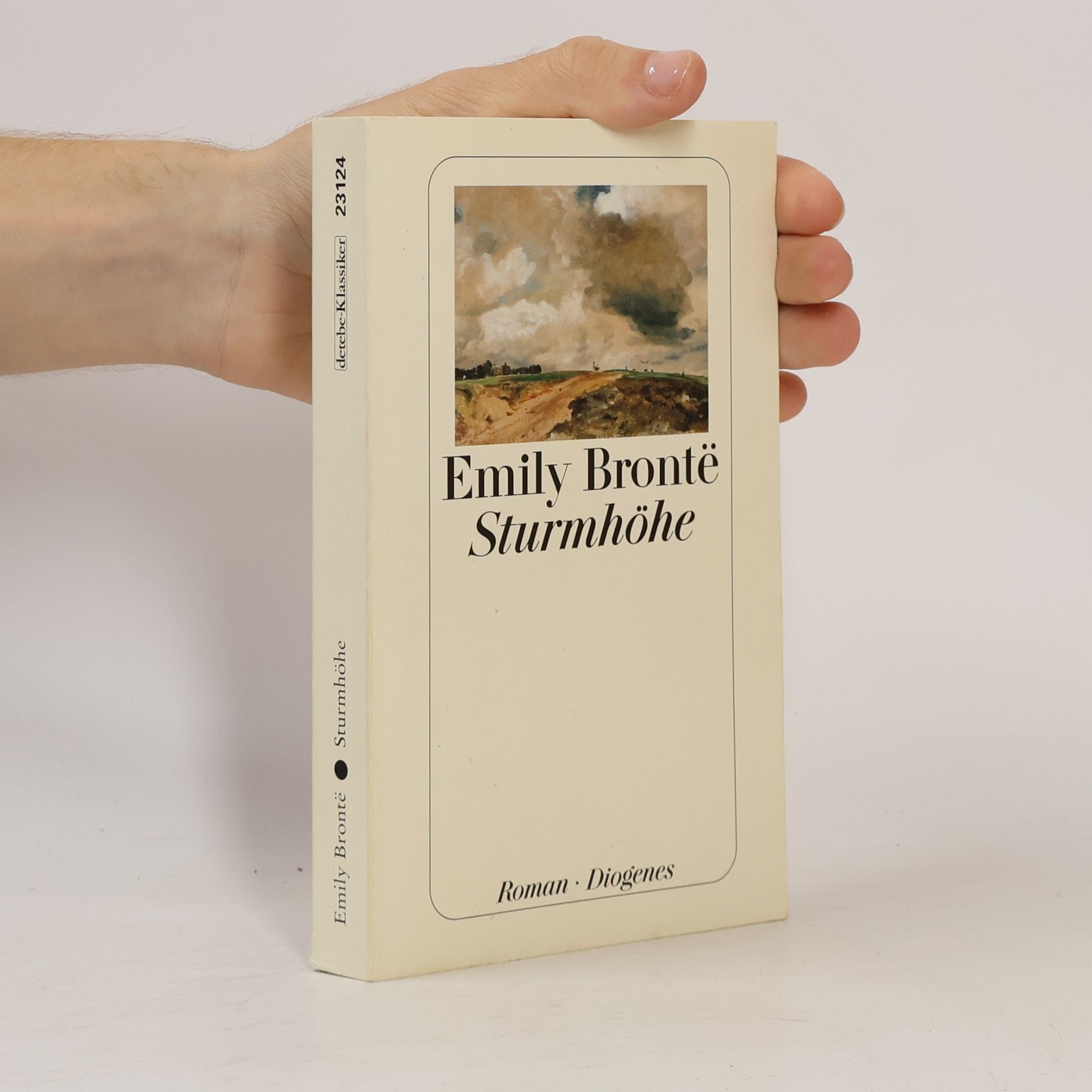 Emily Brontë Sturmhöhe