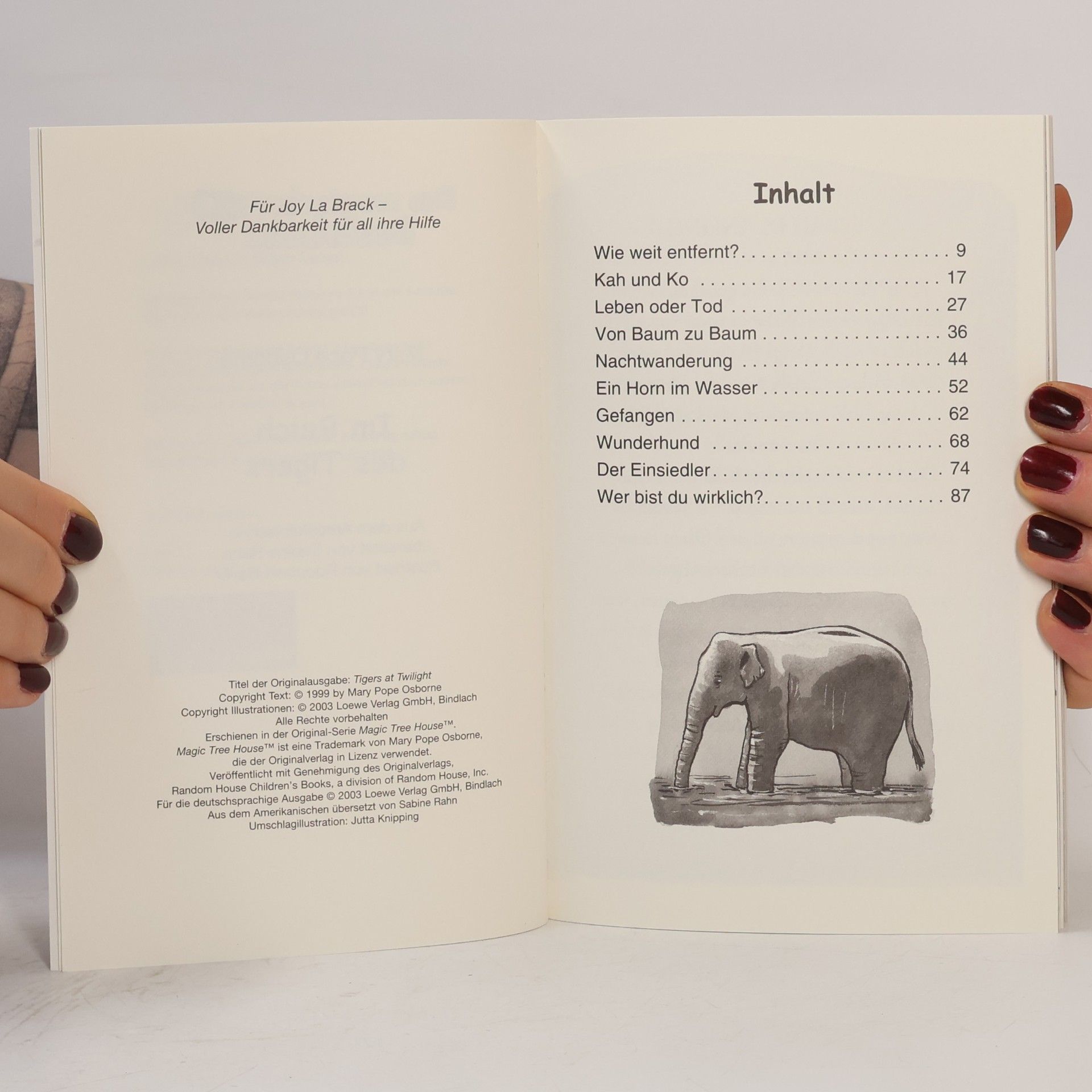 Mary Pope Osbourne Das magische Baumhaus. Im Reich des Tigers