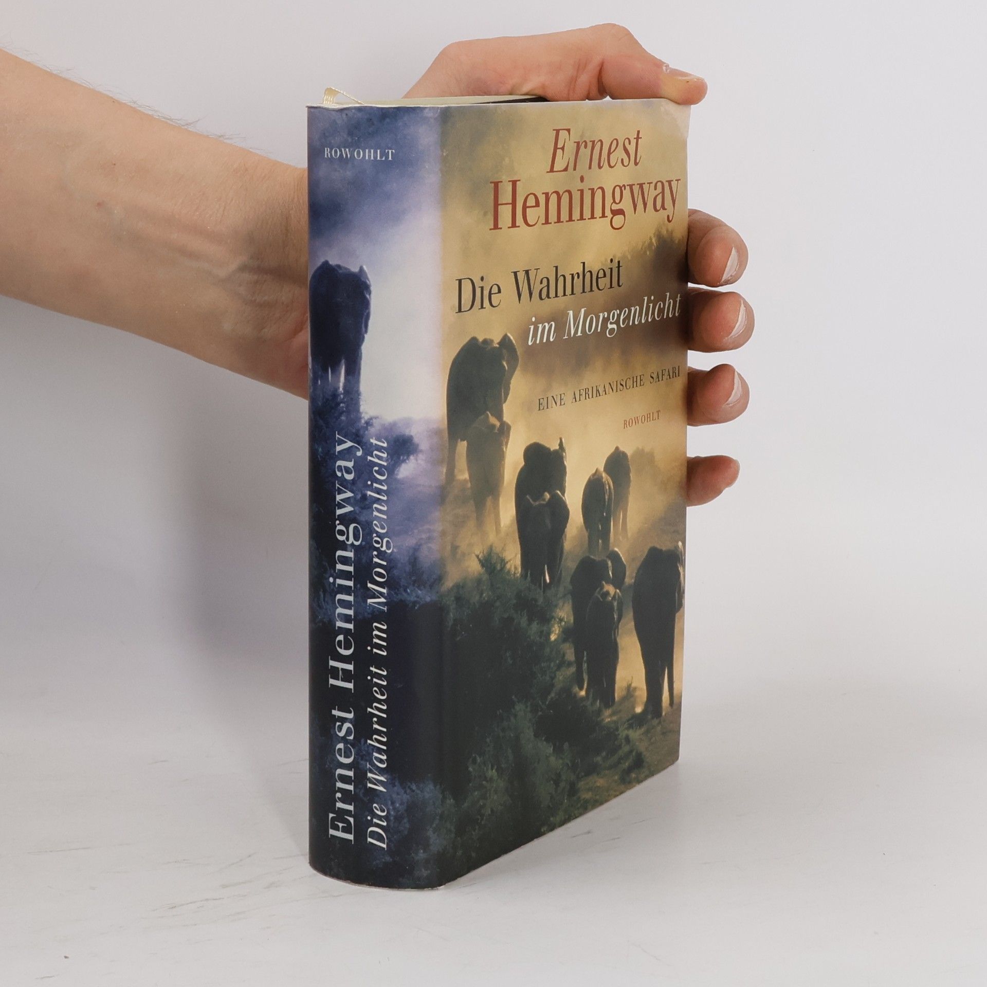 Ernest Hemingway Die Wahrheit im Morgenlicht