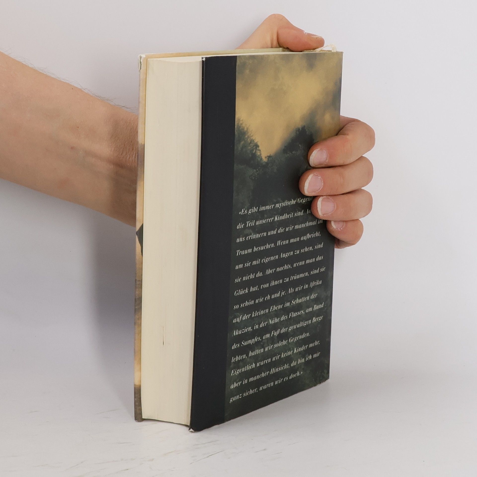 Ernest Hemingway Die Wahrheit im Morgenlicht