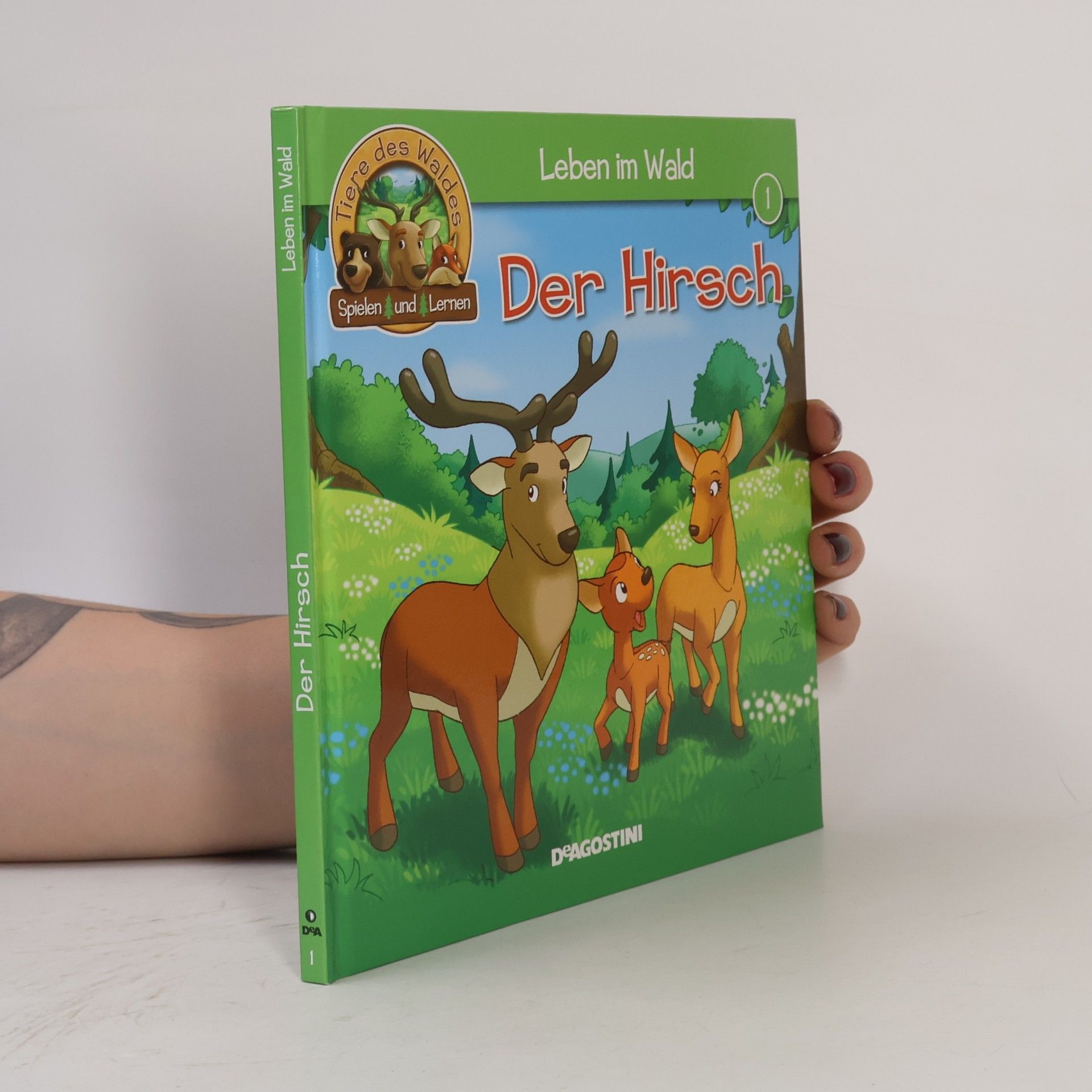 Collectif d'auteurs Leben im Wald. Der Hirsch 1