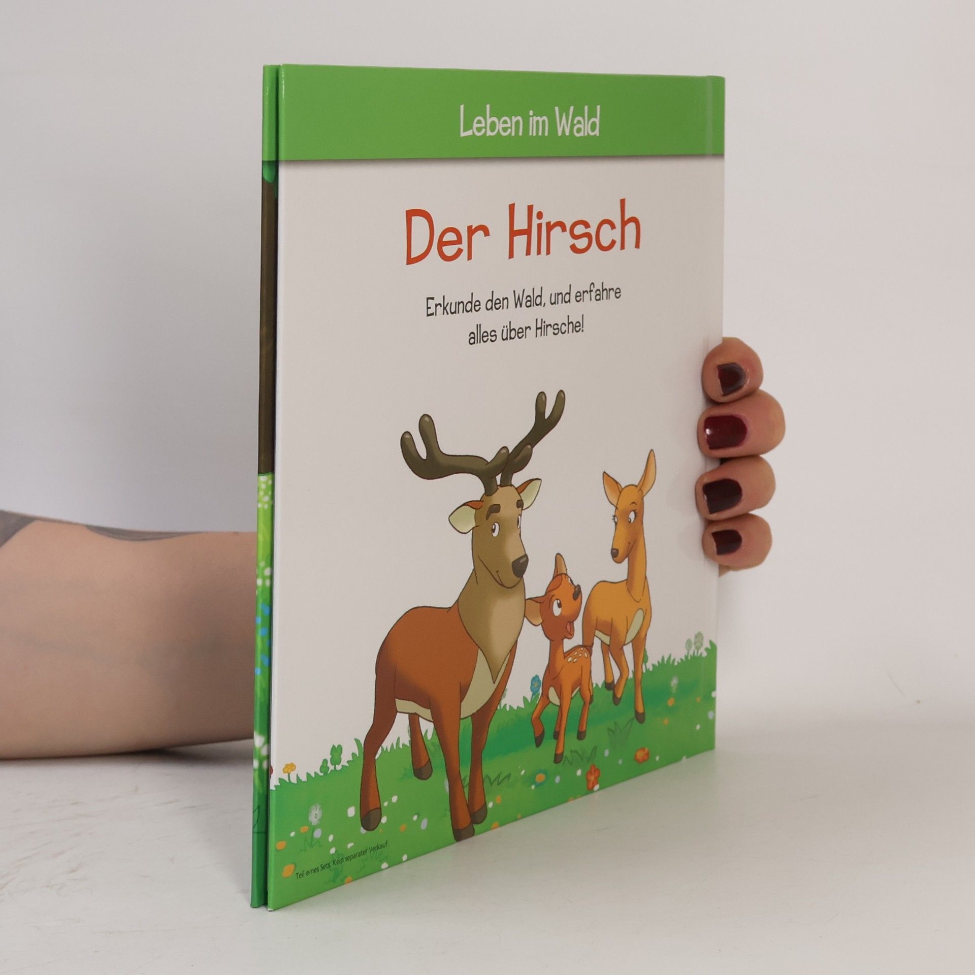 Collectif d'auteurs Leben im Wald. Der Hirsch 1