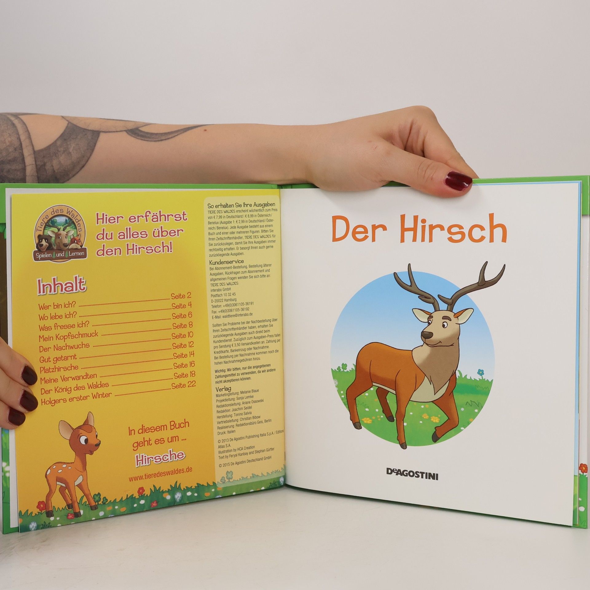 Collectif d'auteurs Leben im Wald. Der Hirsch 1