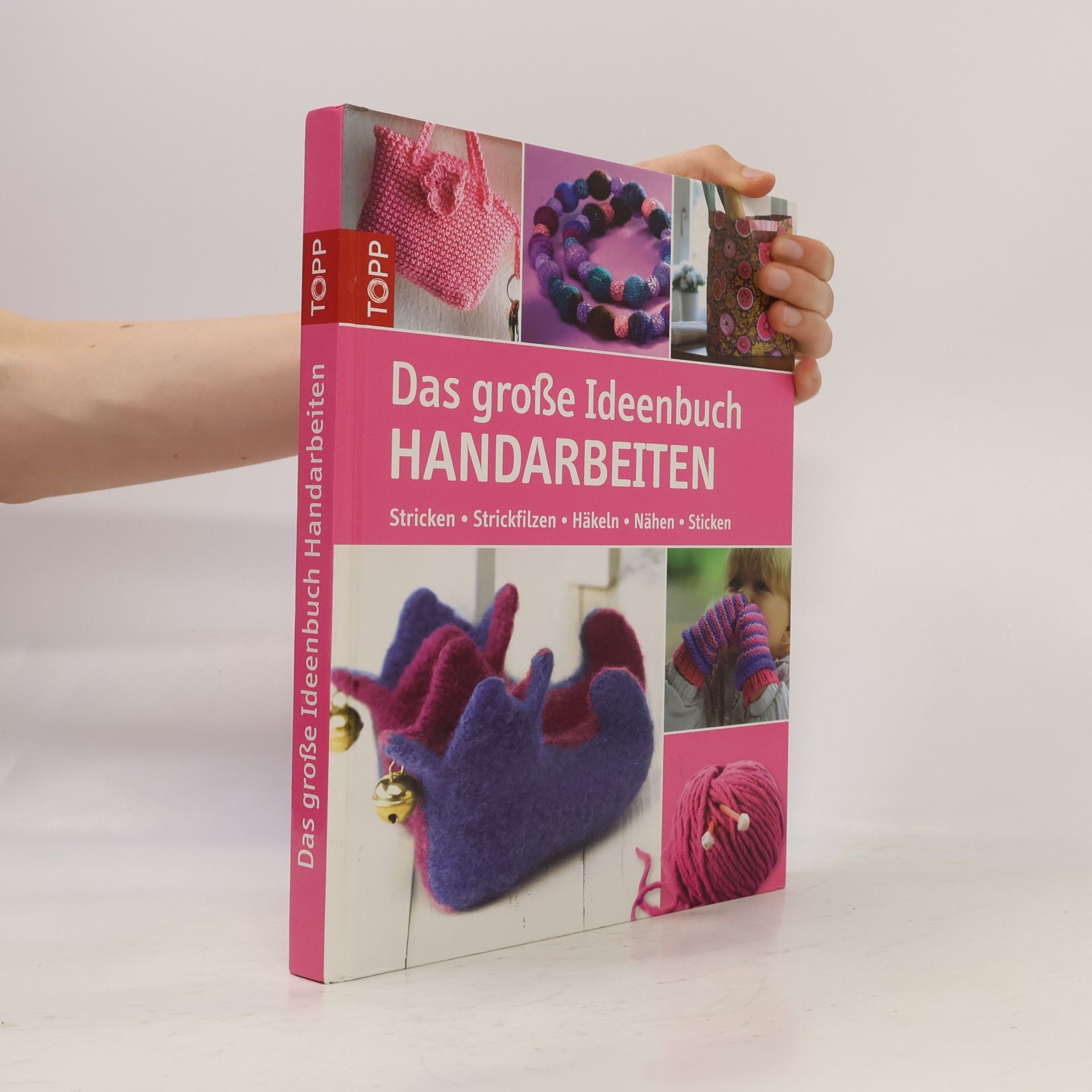 Various authors Das große Ideenbuch Handarbeiten