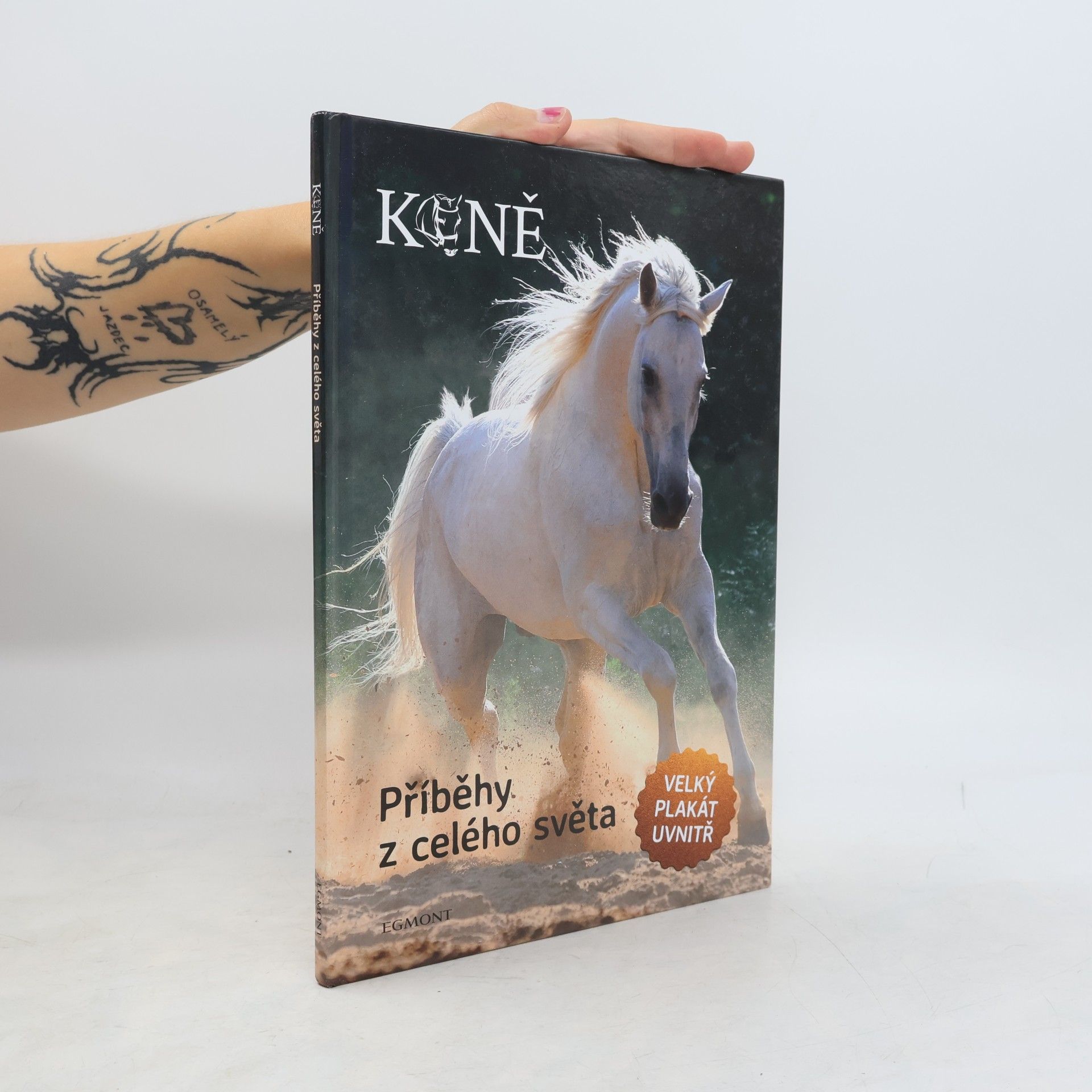 Autores varios Koně: příběhy z celého světa