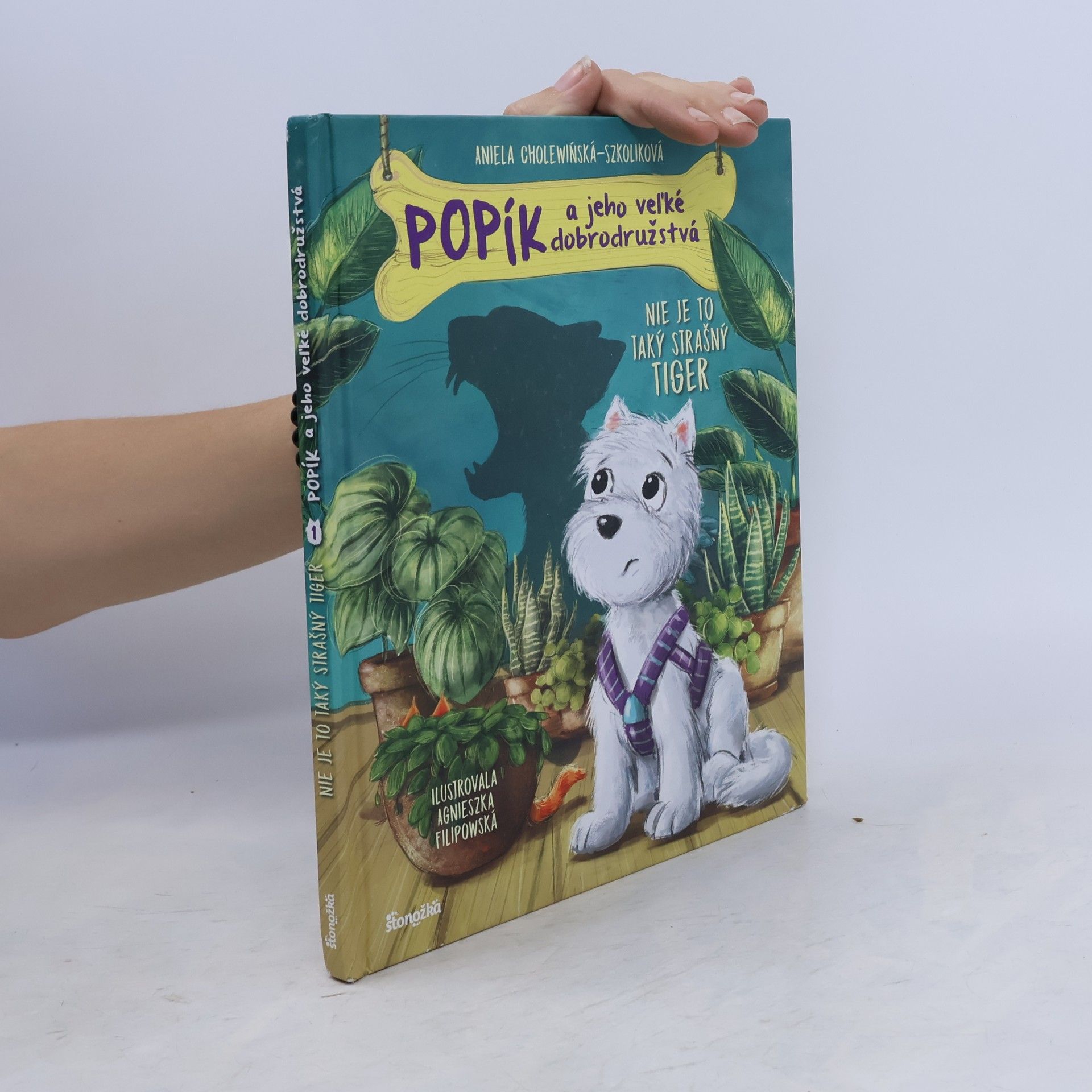 Aniela Cholewińska-Szkolik Popík a jeho veľké dobrodružstvá
