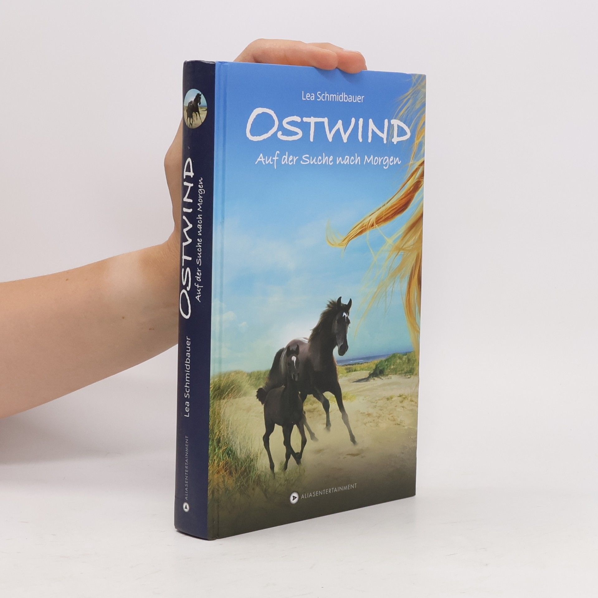 Lea Schmidbauer Ostwind - auf der Suche nach Morgen