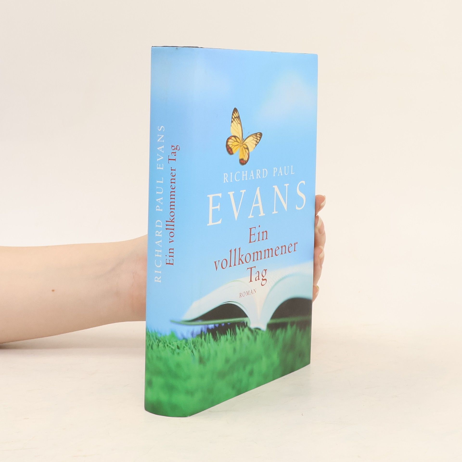 Richard Paul Evans Ein vollkommener Tag