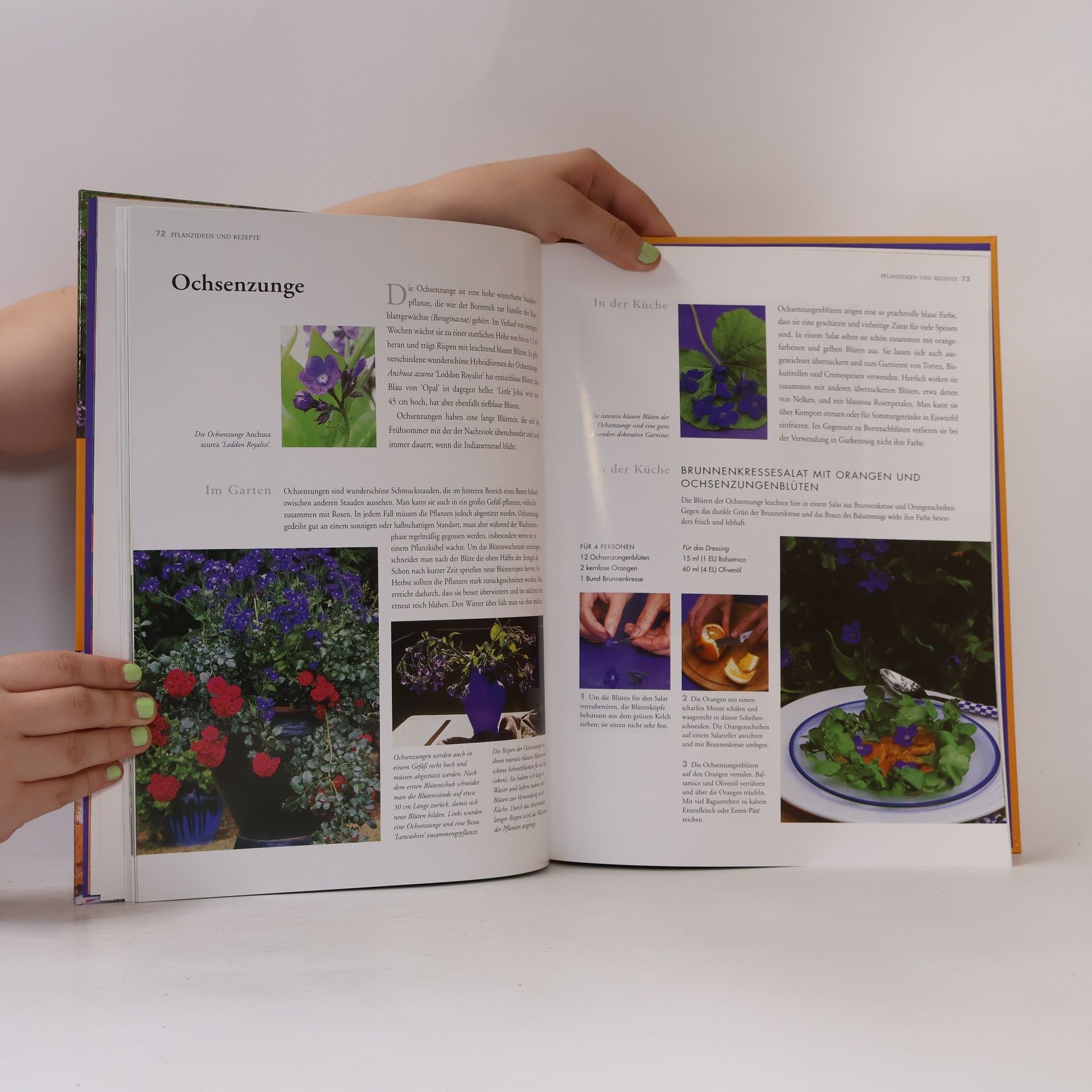 Kathy Brown Blüten-Kochbuch