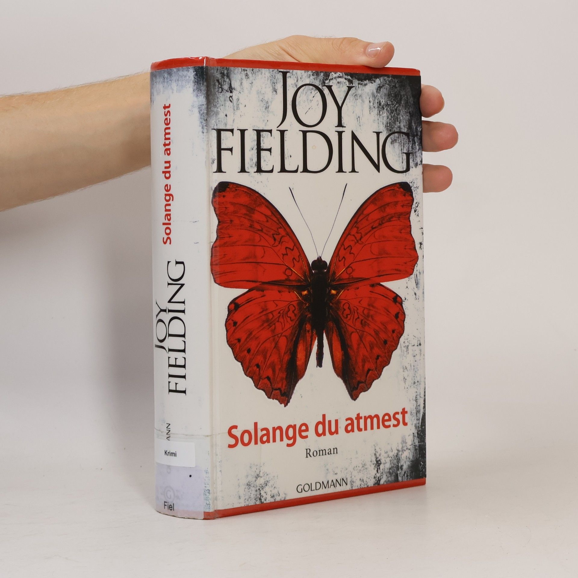 Joy Fielding Solange du atmest