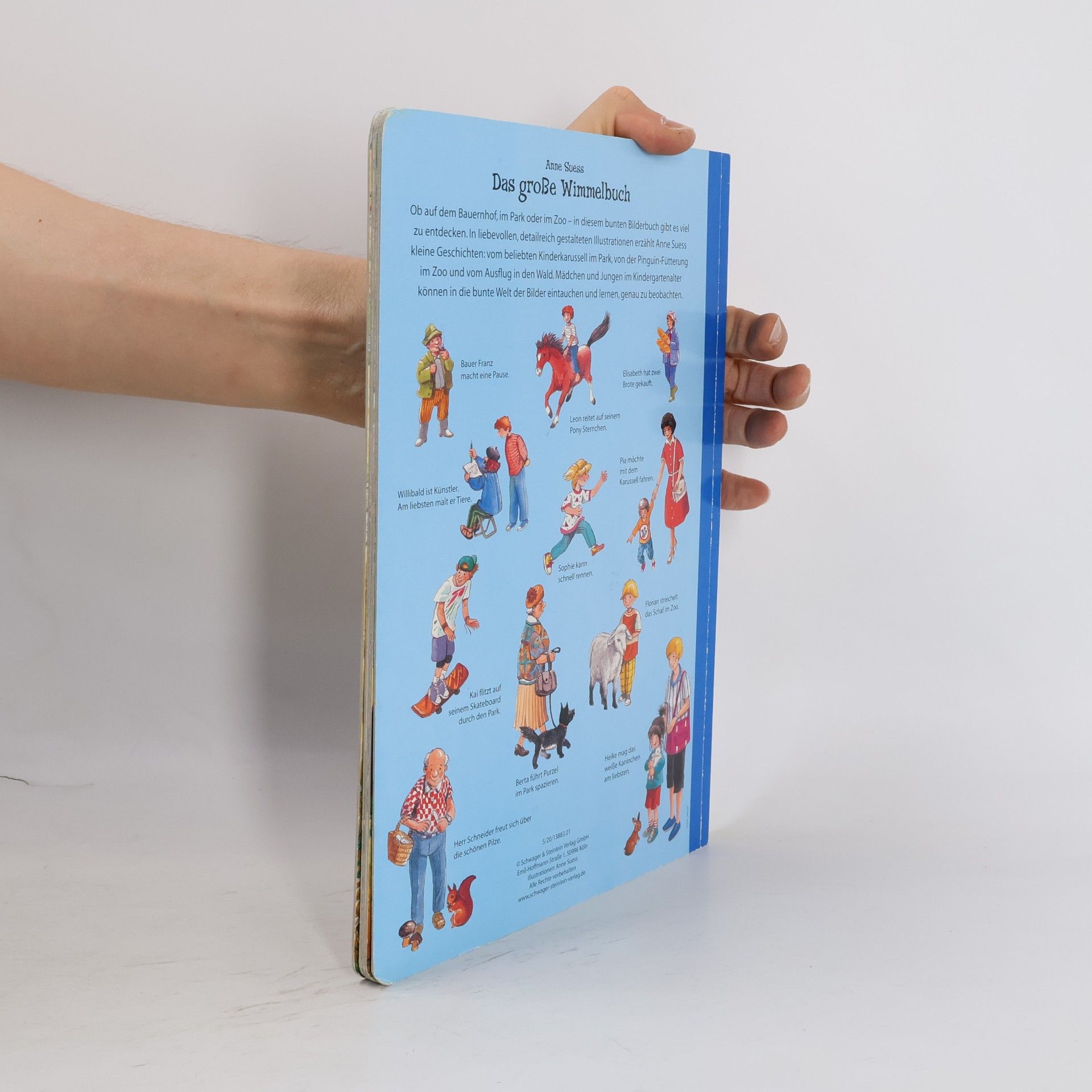 Anne Suess Das große Wimmelbuch