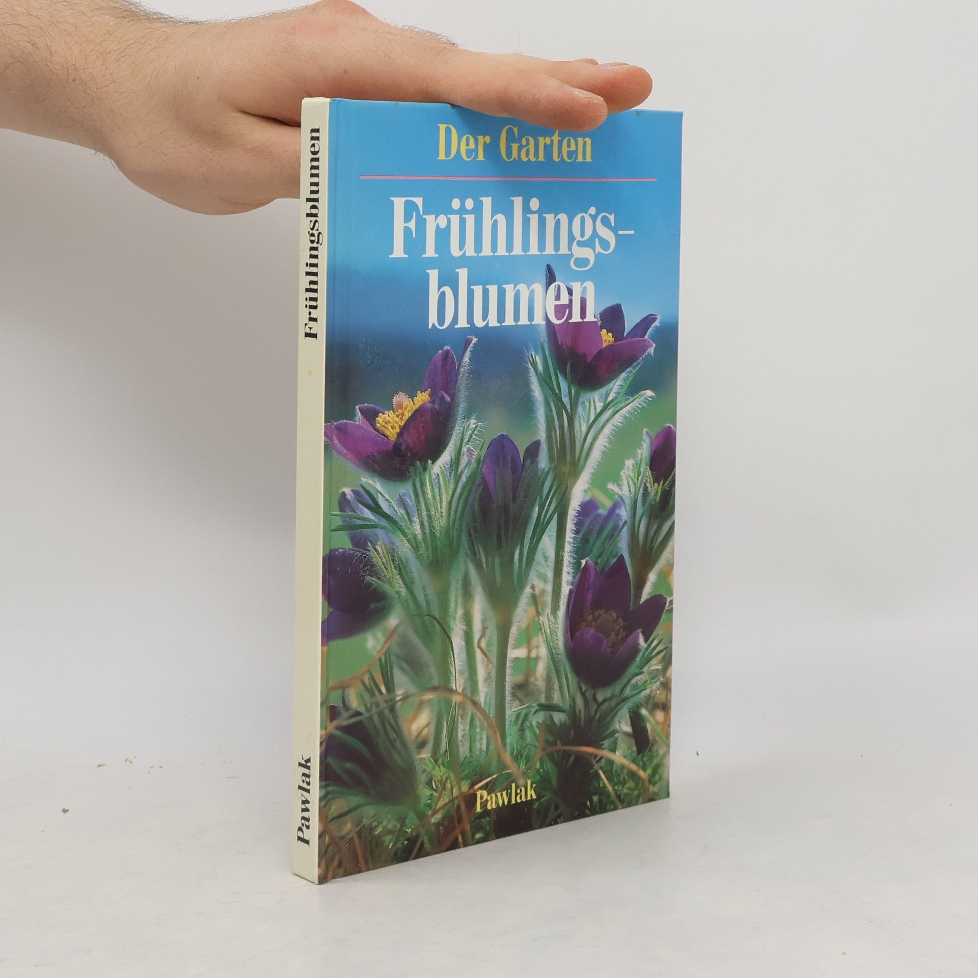 Ute York Frühlingsblumen