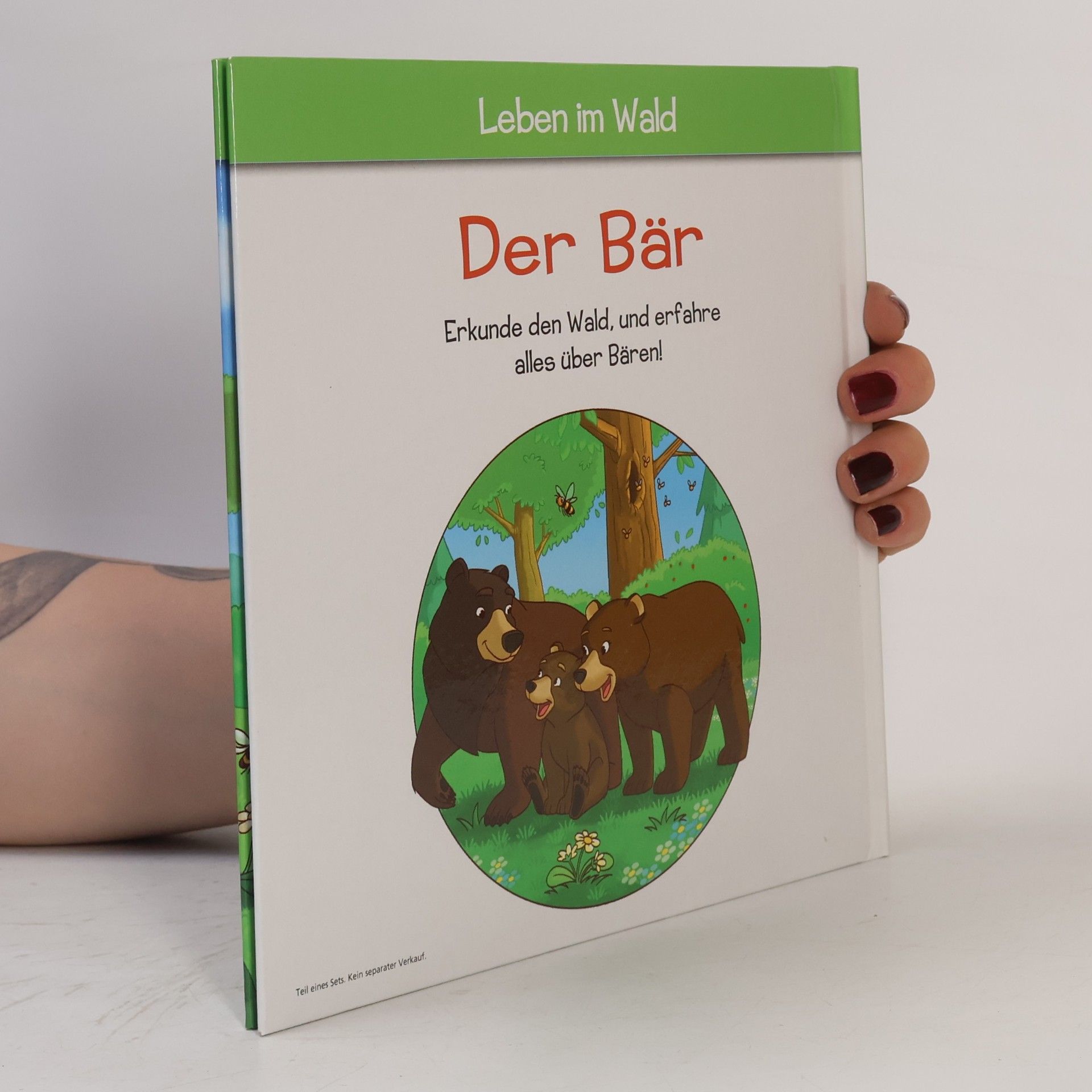 Kolektiv autorů Leben im Wald. Der Bär