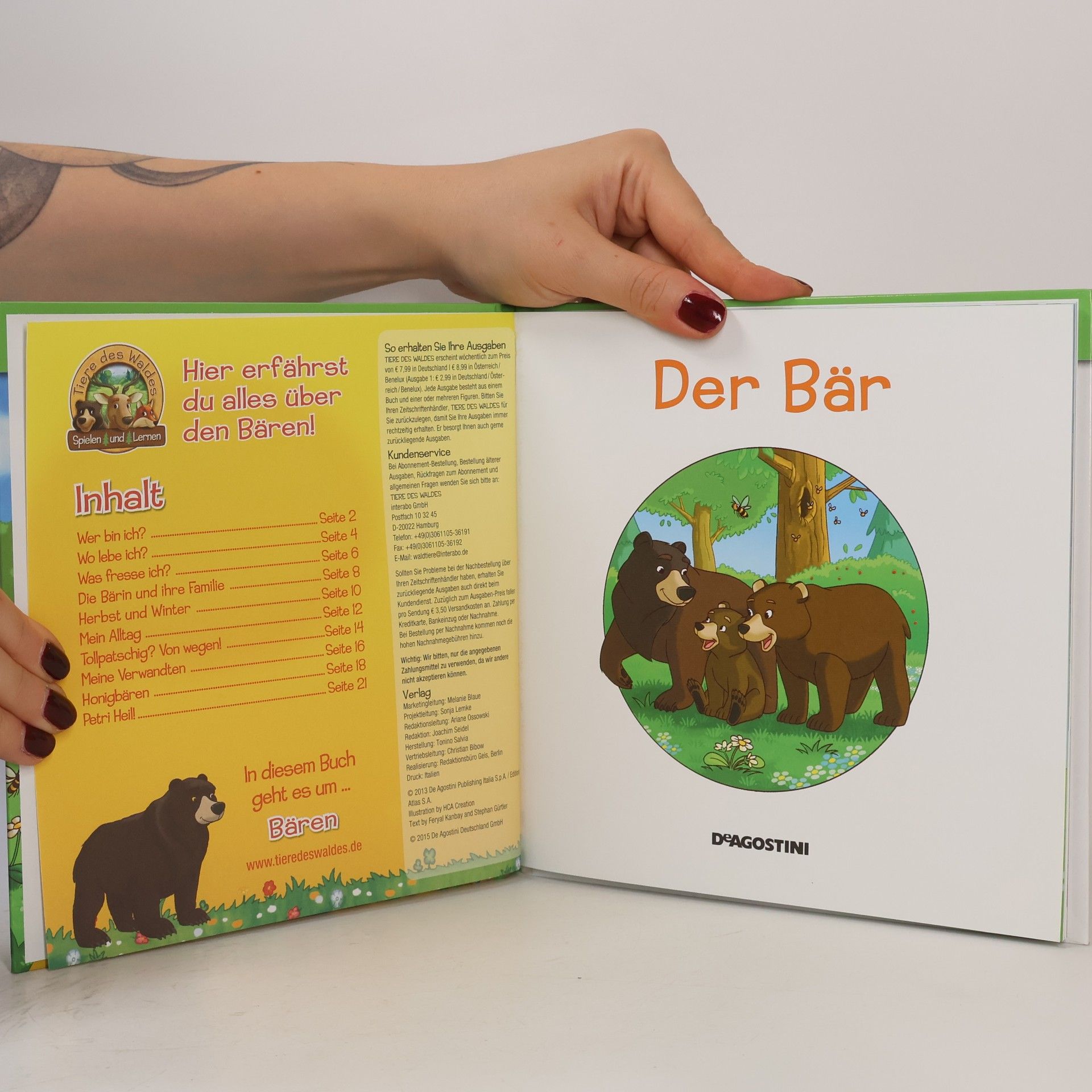Kolektiv autorů Leben im Wald. Der Bär