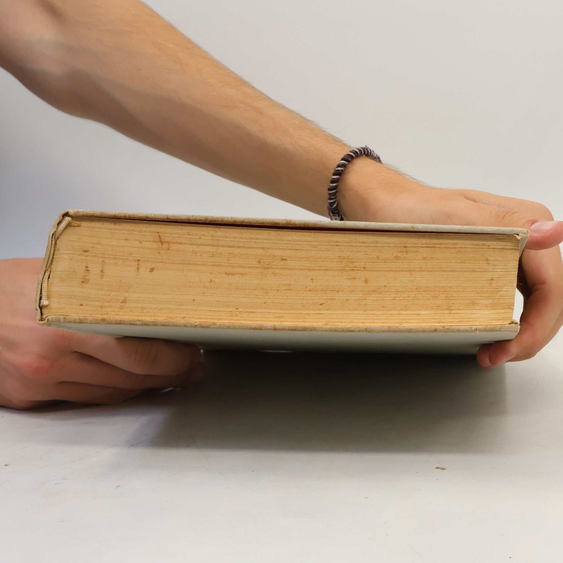 Mária Čierna Nemecko-slovenský slovník, Deutsch-slowakisches Wörterbuch