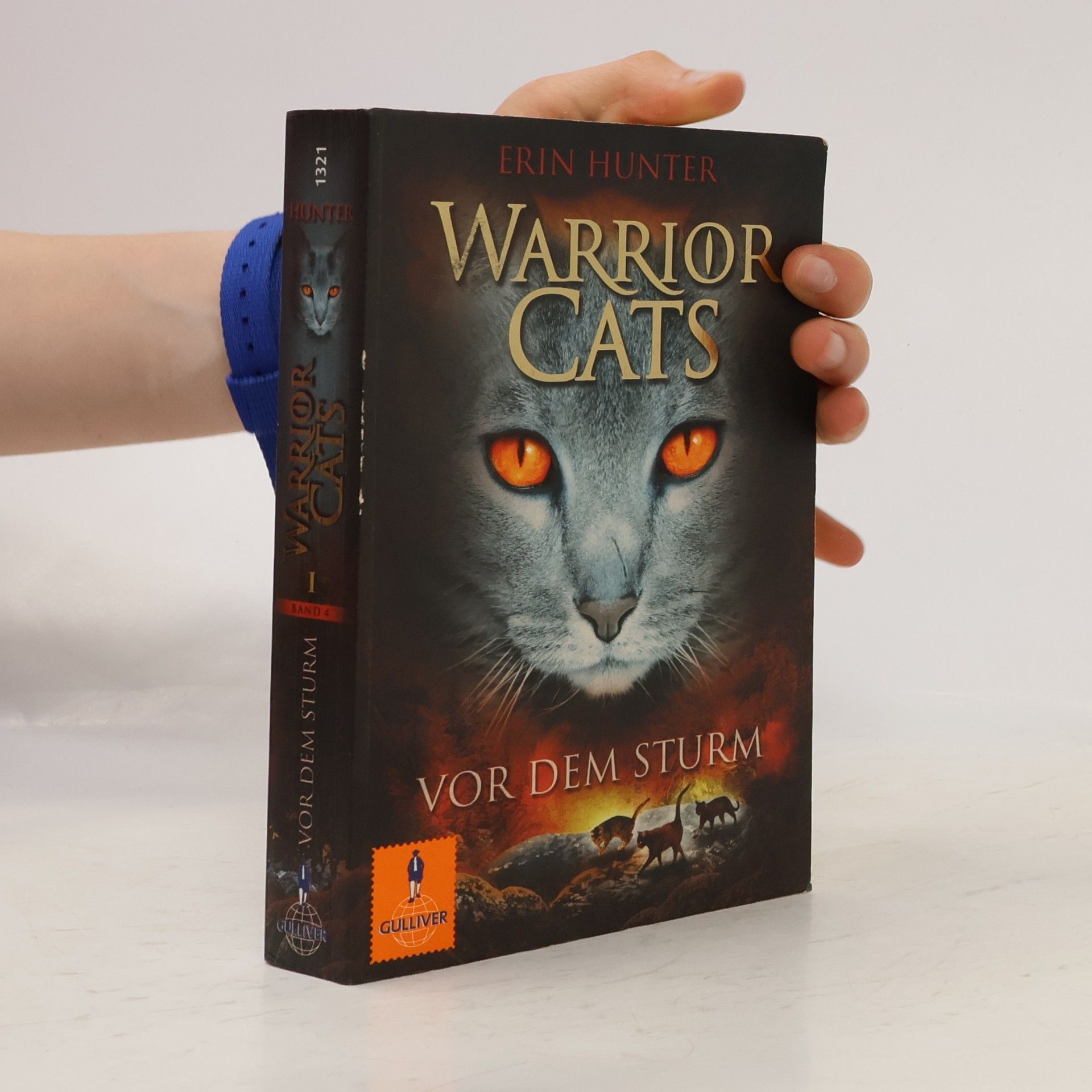 Erin Hunter Warrior Cats. Vor dem Sturm