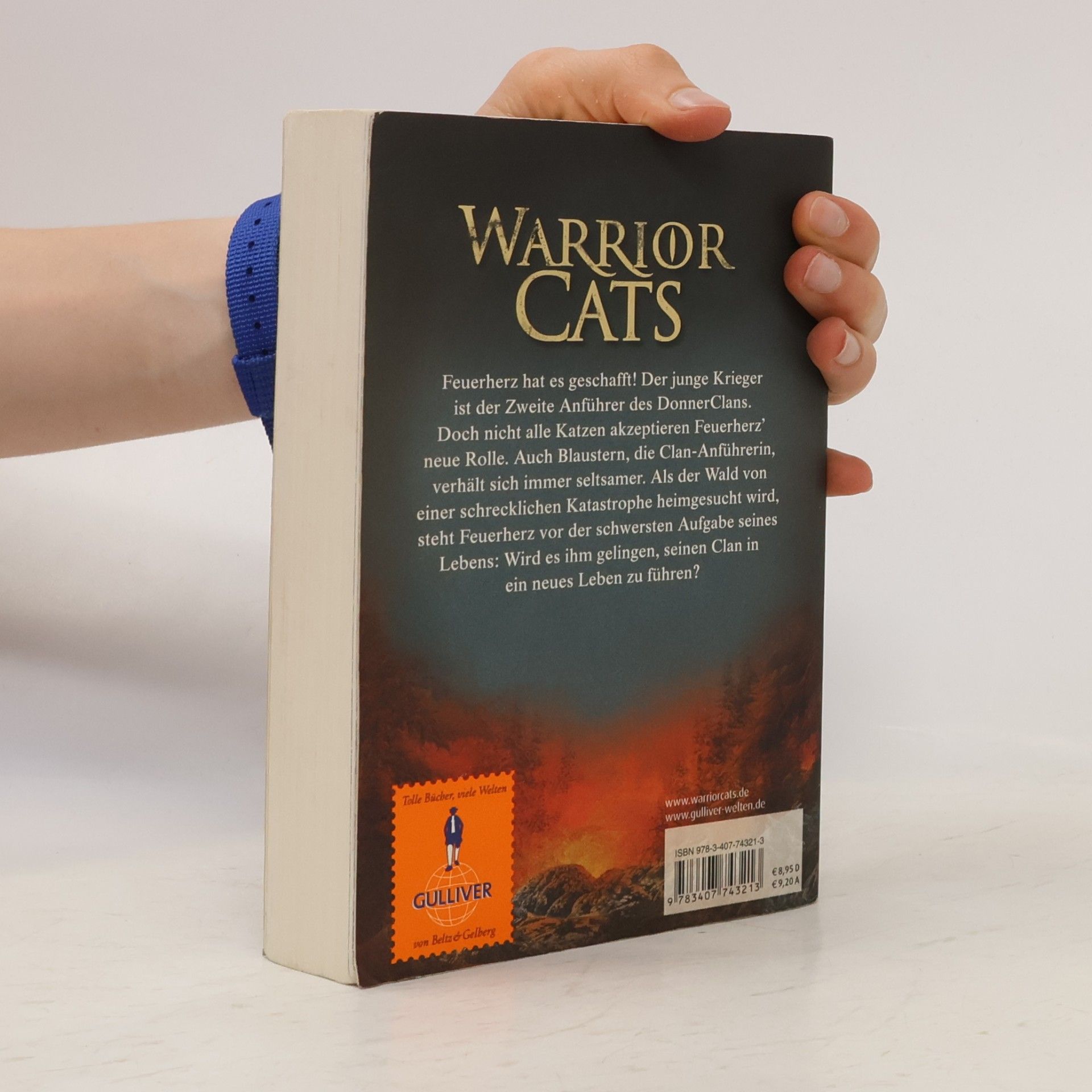 Erin Hunter Warrior Cats. Vor dem Sturm
