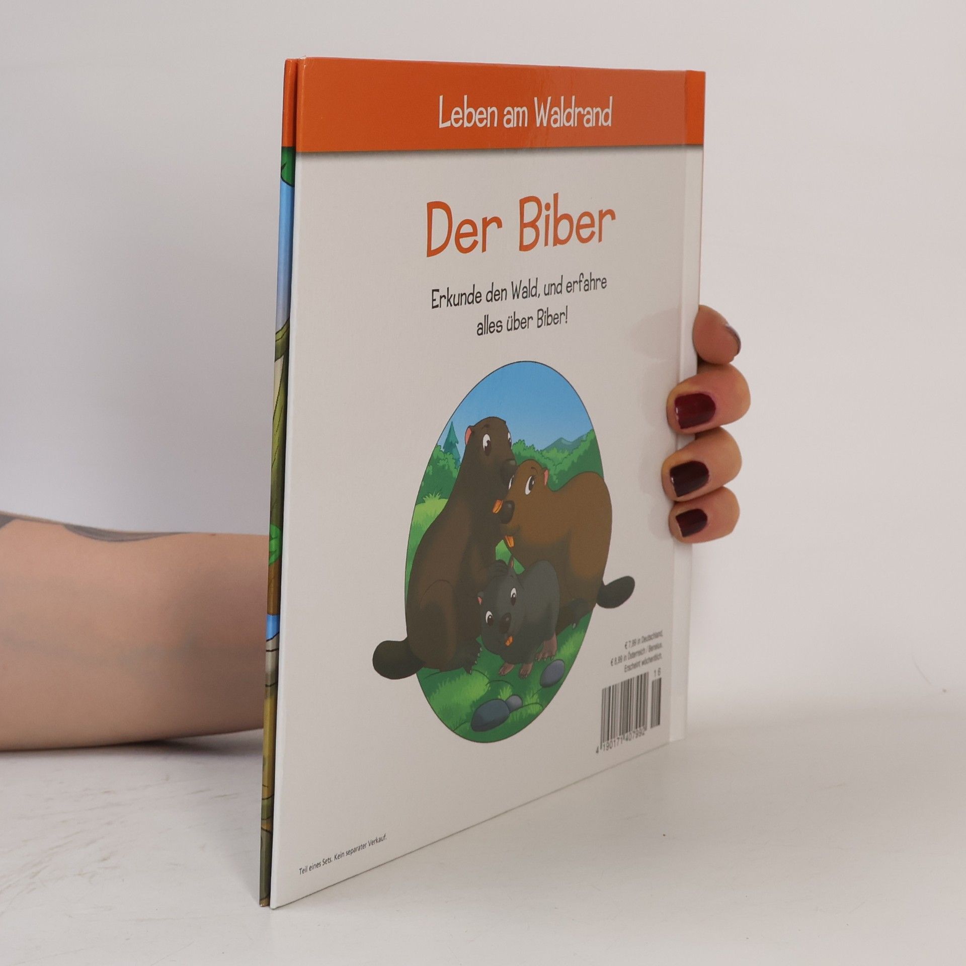 Autorenkollektiv Leben am Waldrand. Der Biber