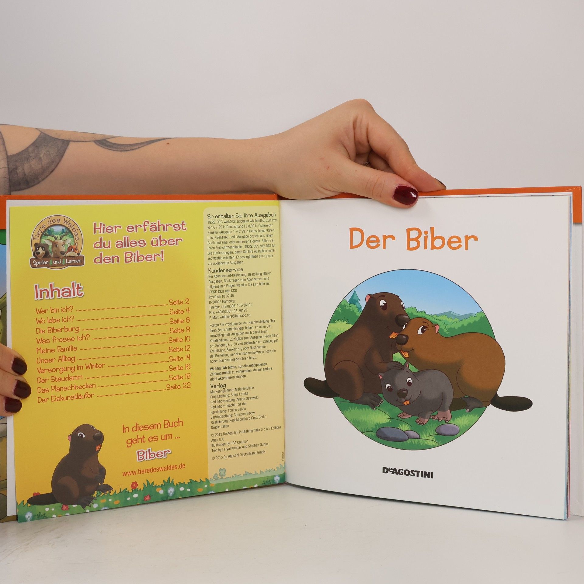 Autorenkollektiv Leben am Waldrand. Der Biber