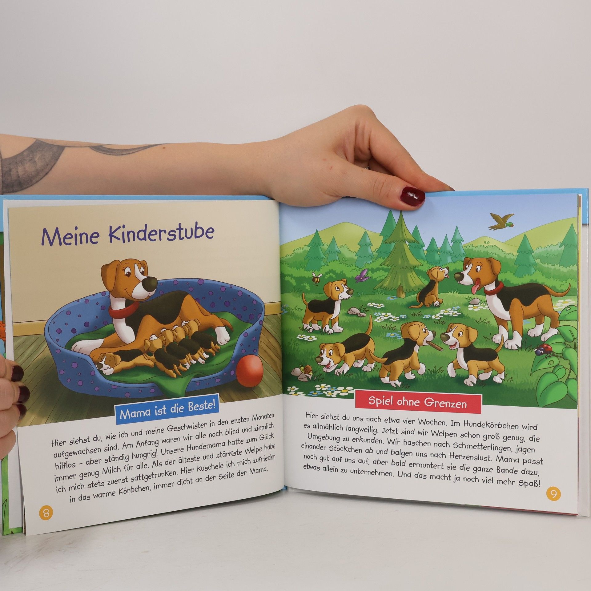 Kolektív autorov Der Hund des Försters