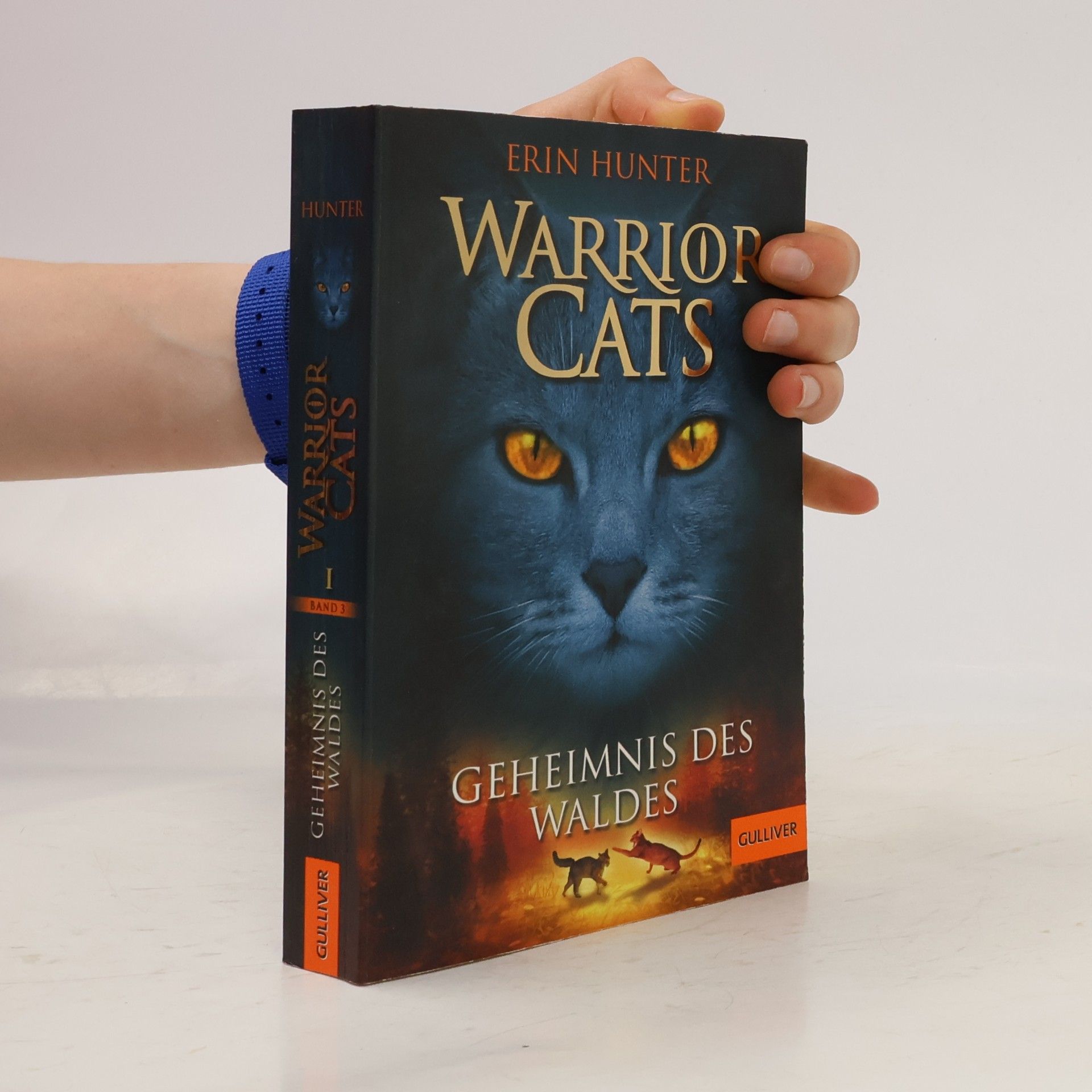 Erin Hunter Warrior Cats. Geheimnis des Waldes