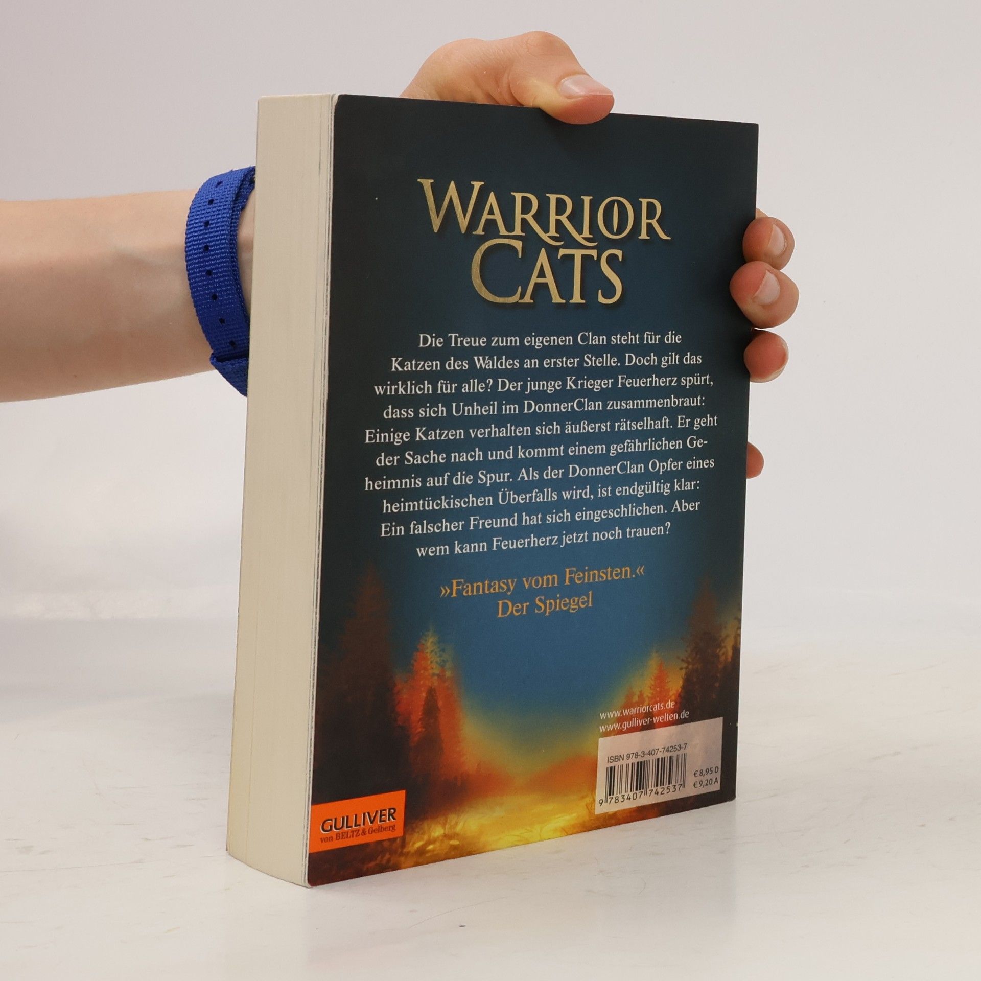 Erin Hunter Warrior Cats. Geheimnis des Waldes