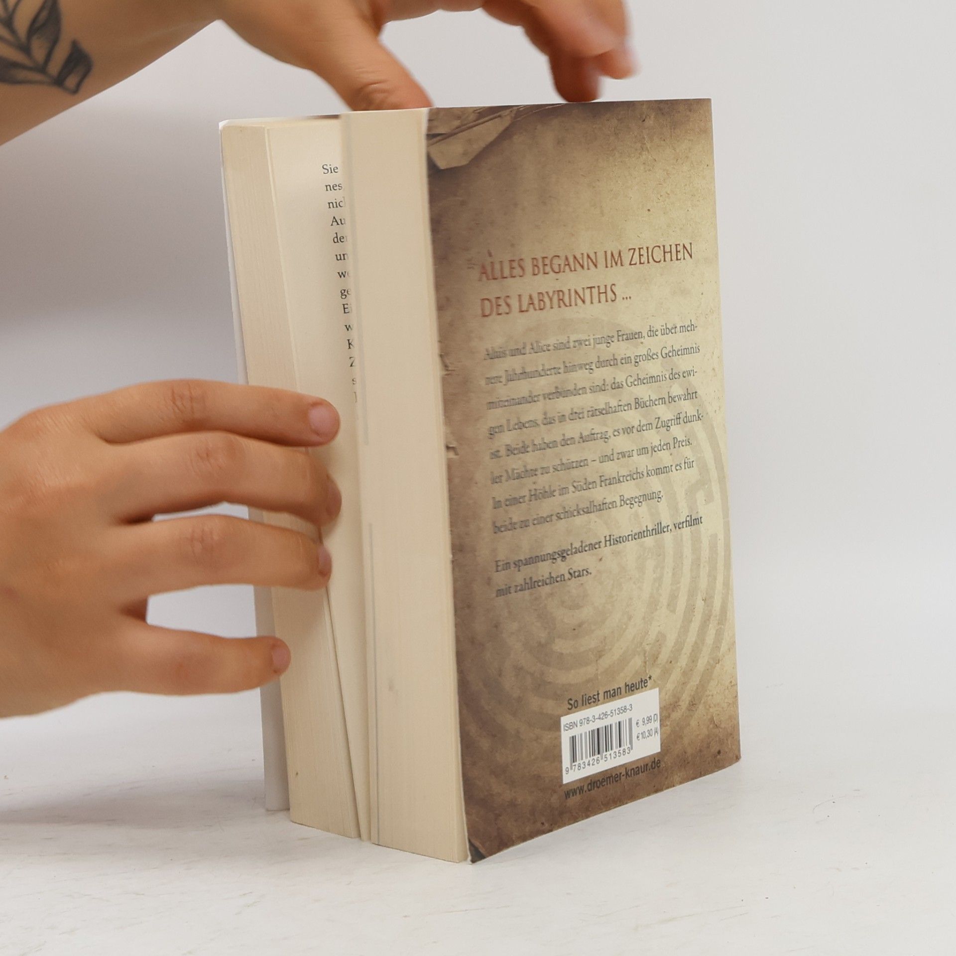 Kate Mosse Das verlorene Labyrinth