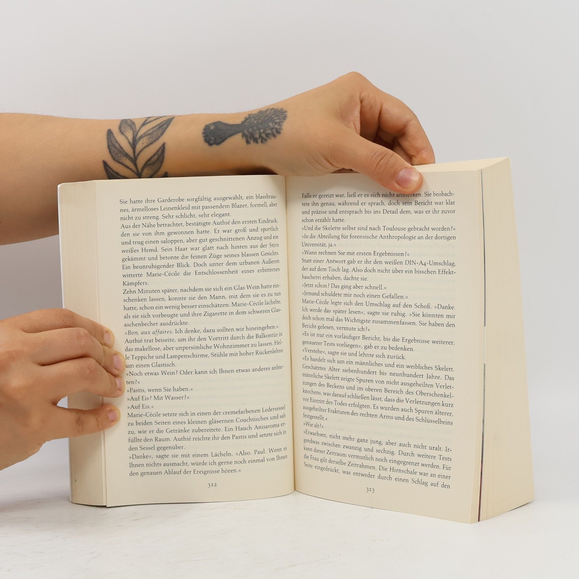 Kate Mosse Das verlorene Labyrinth