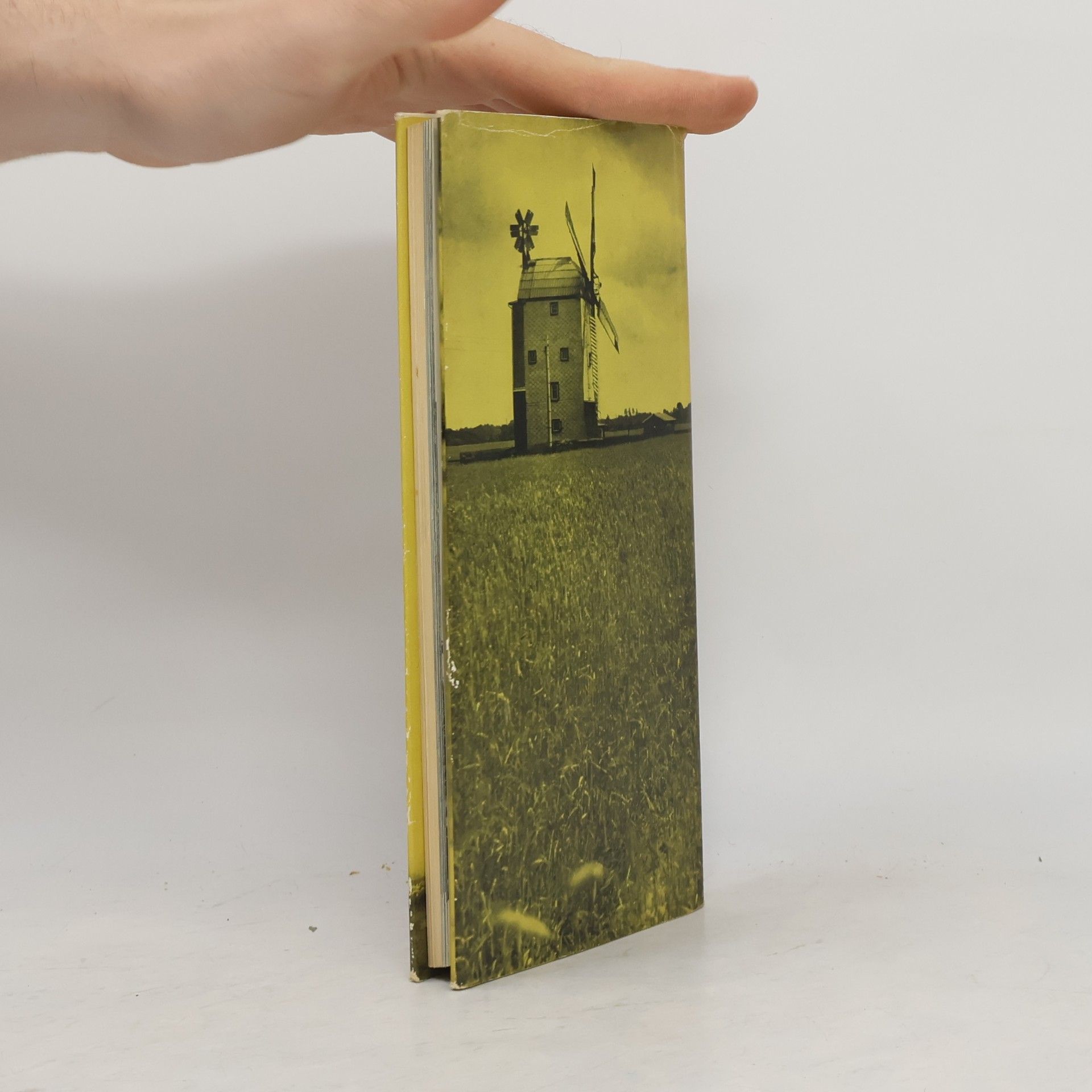 Gabriele Stave Brockhaus Miniaturen. Glück zu!