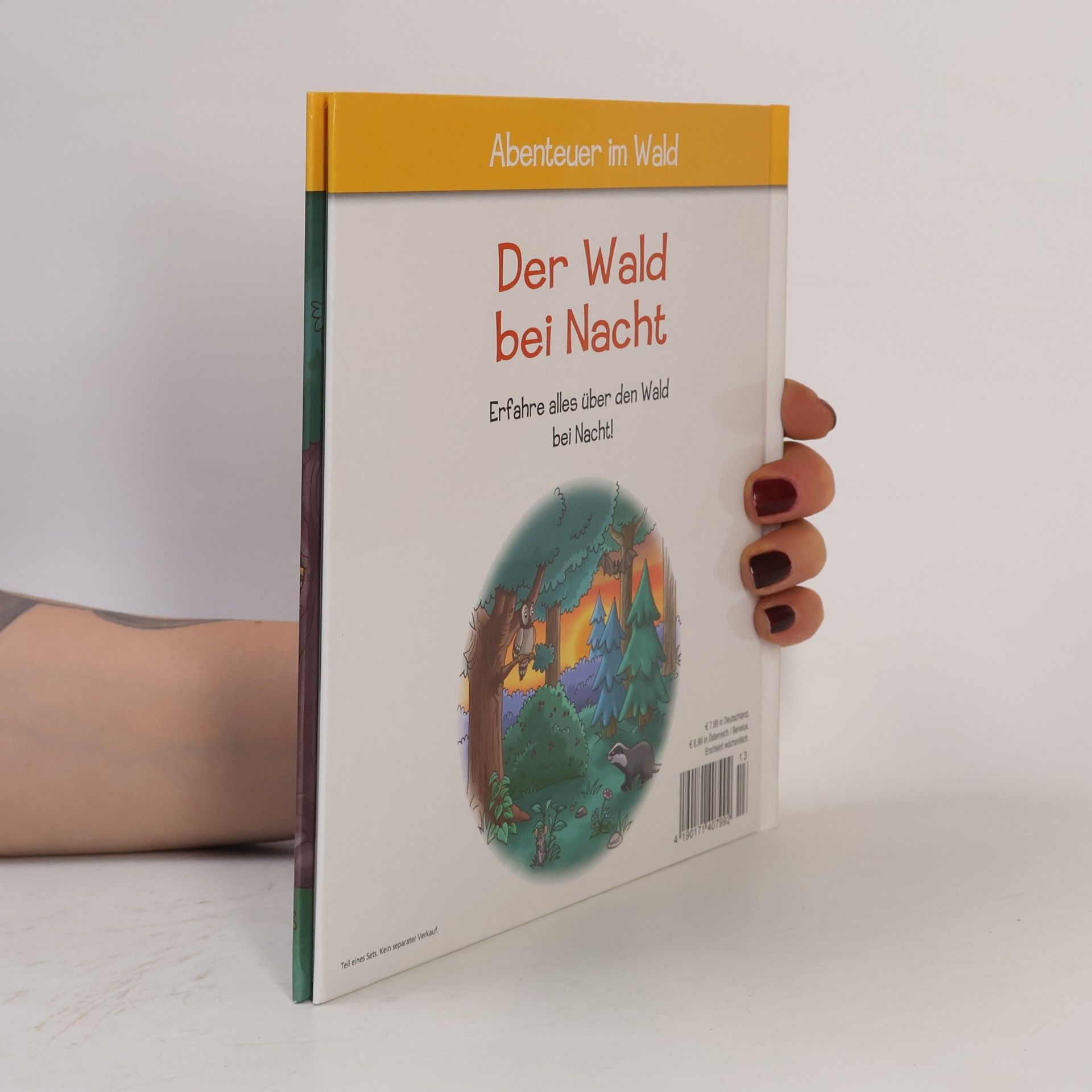 Autorenkollektiv Der Wald bei Nacht 13