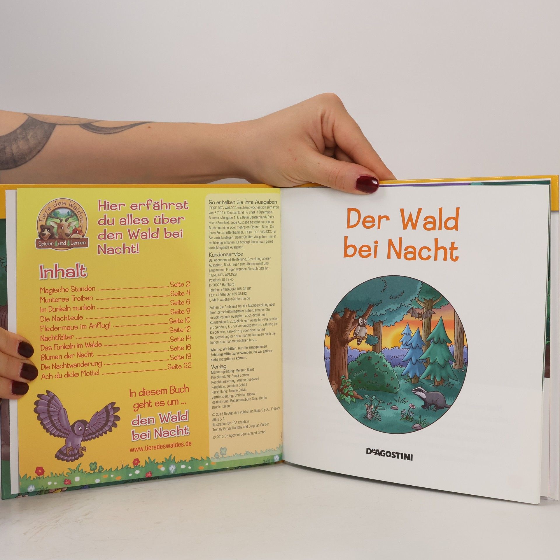 Autorenkollektiv Der Wald bei Nacht 13