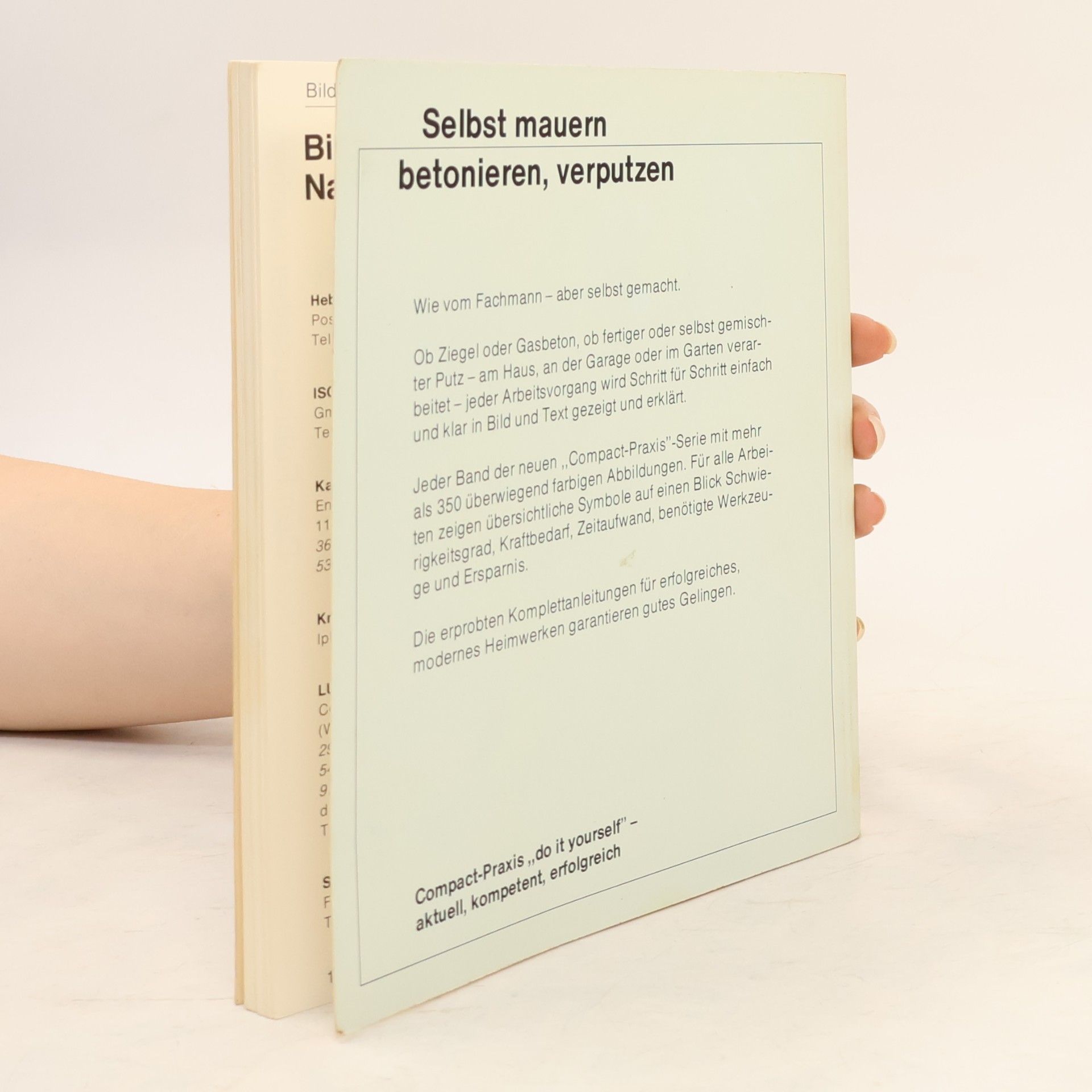 Jörg Seiler Compact-Praxis: Selbst mauern, betonieren, verputzen