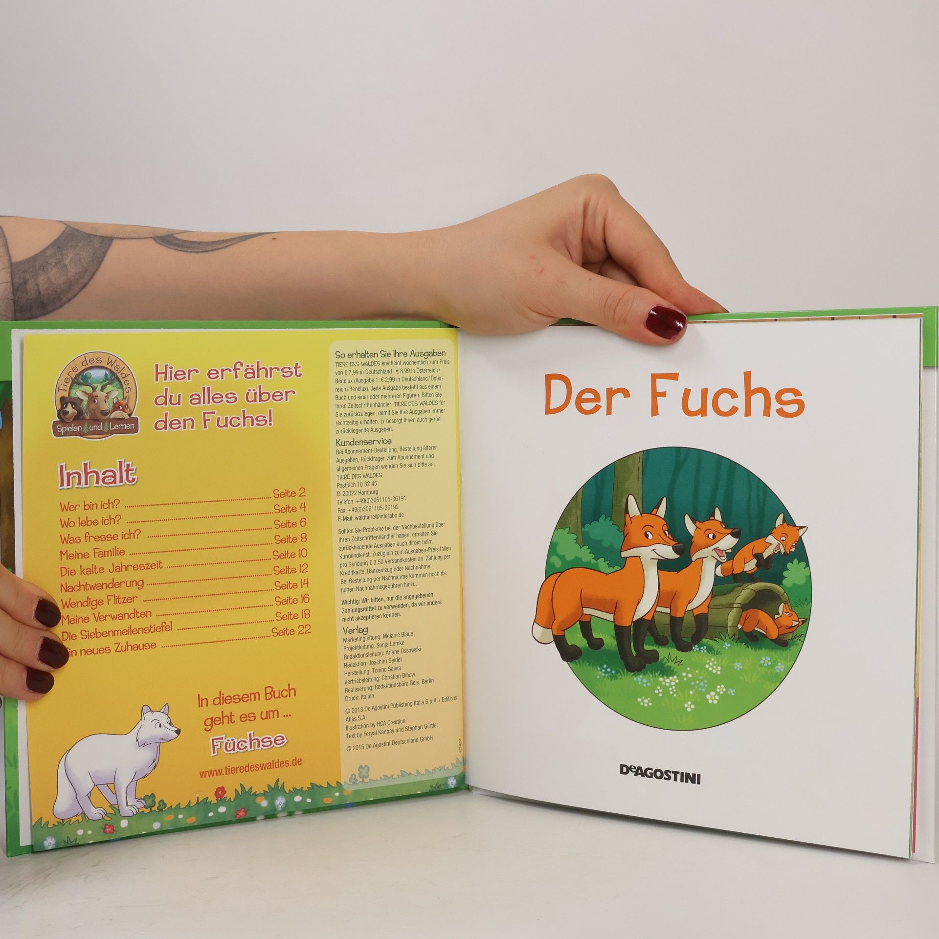 Kolektív autorov Leben im Wald 11. Der Fuchs