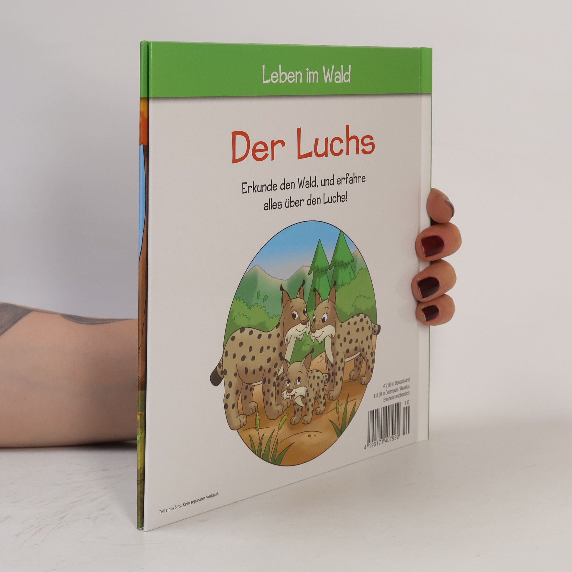 Kolektiv autorů Leben im Wald 10. Der Luchs