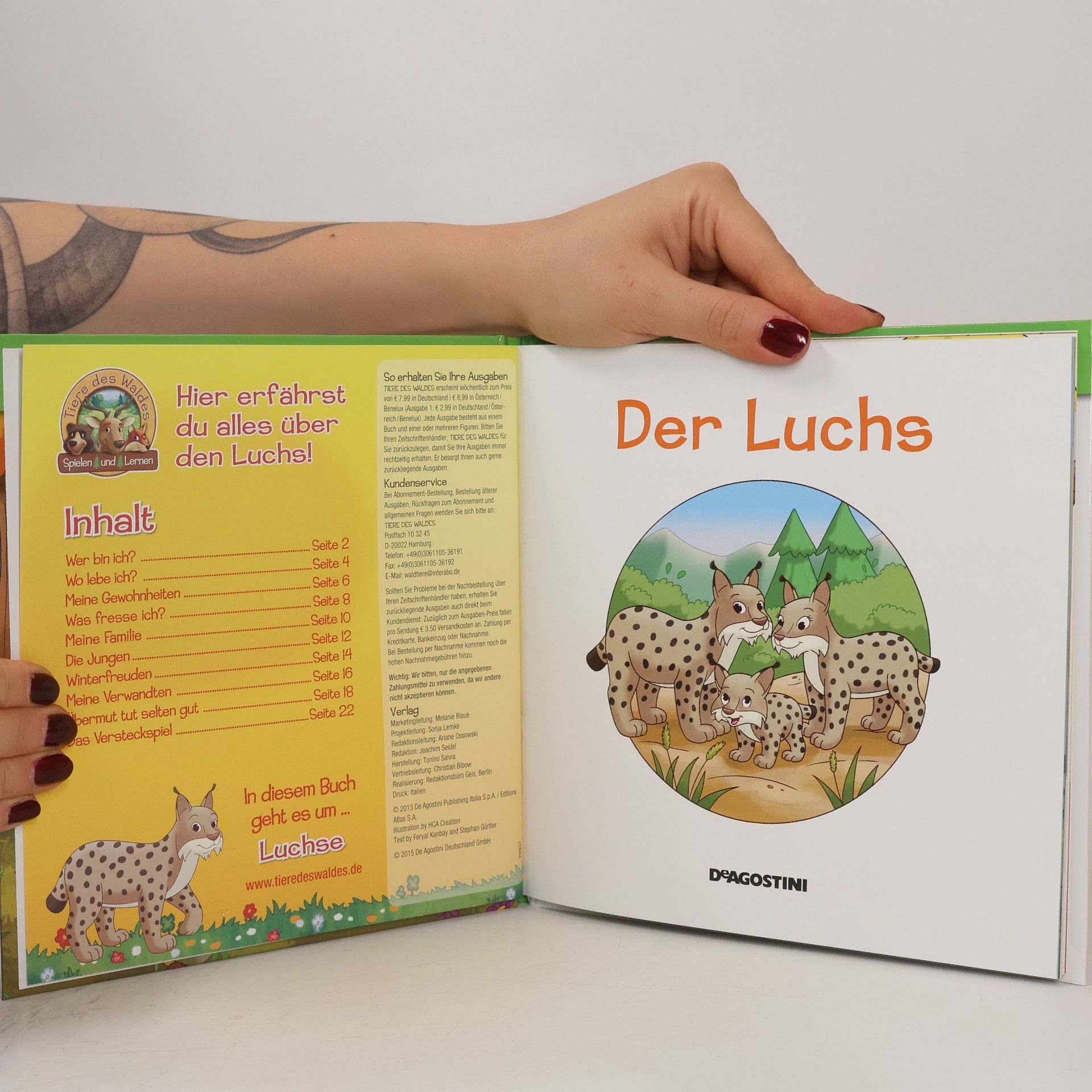 Kolektiv autorů Leben im Wald 10. Der Luchs