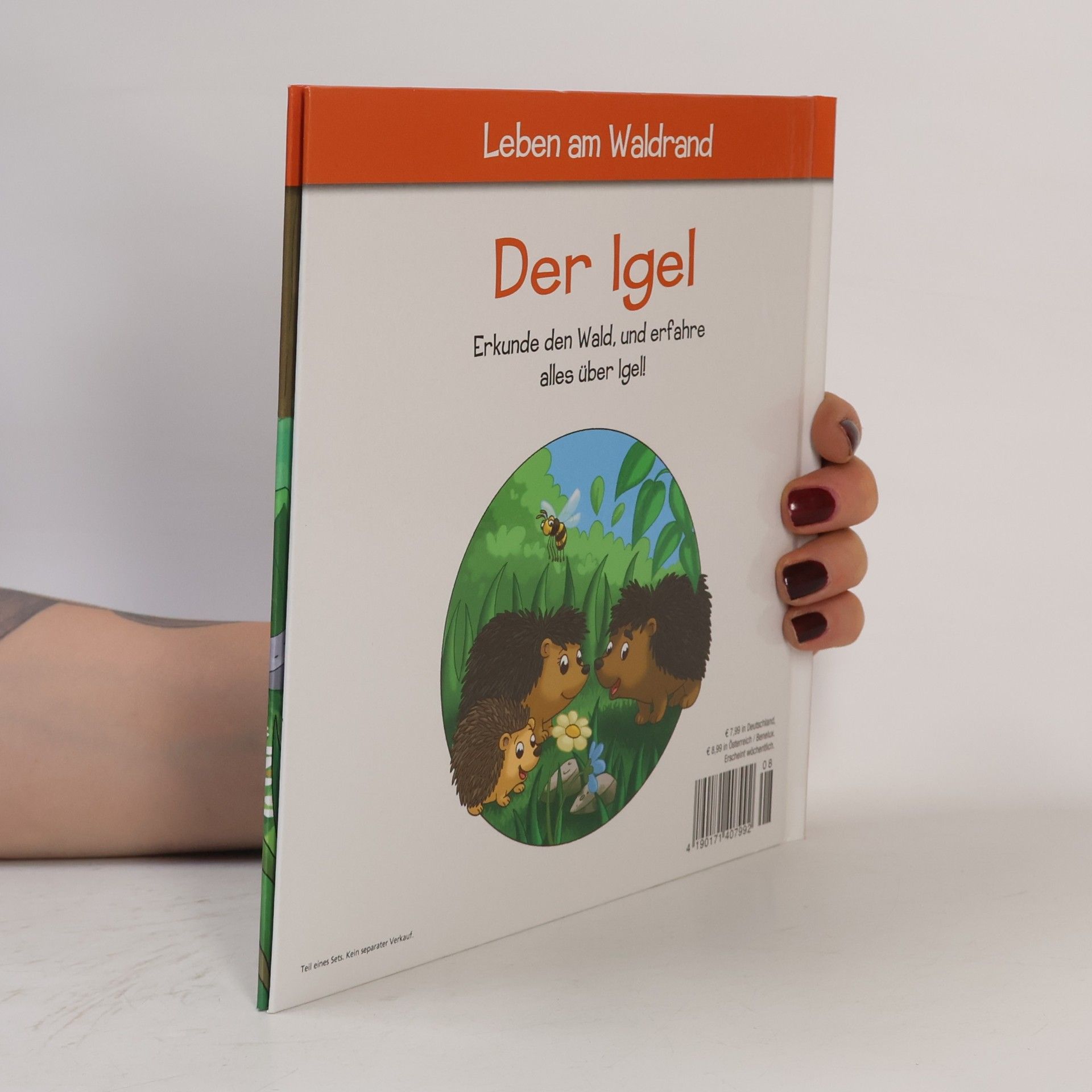 Kolektiv autorů Legen am Waldrand 8. Der Igel