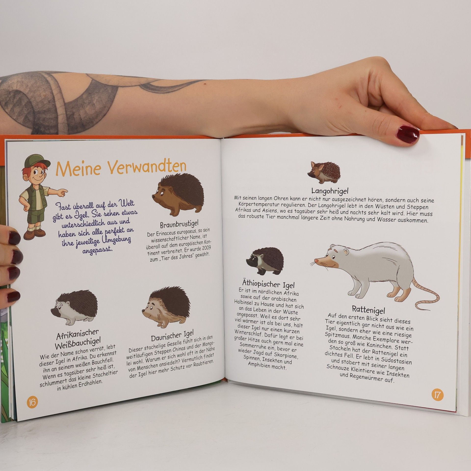 Kolektiv autorů Legen am Waldrand 8. Der Igel