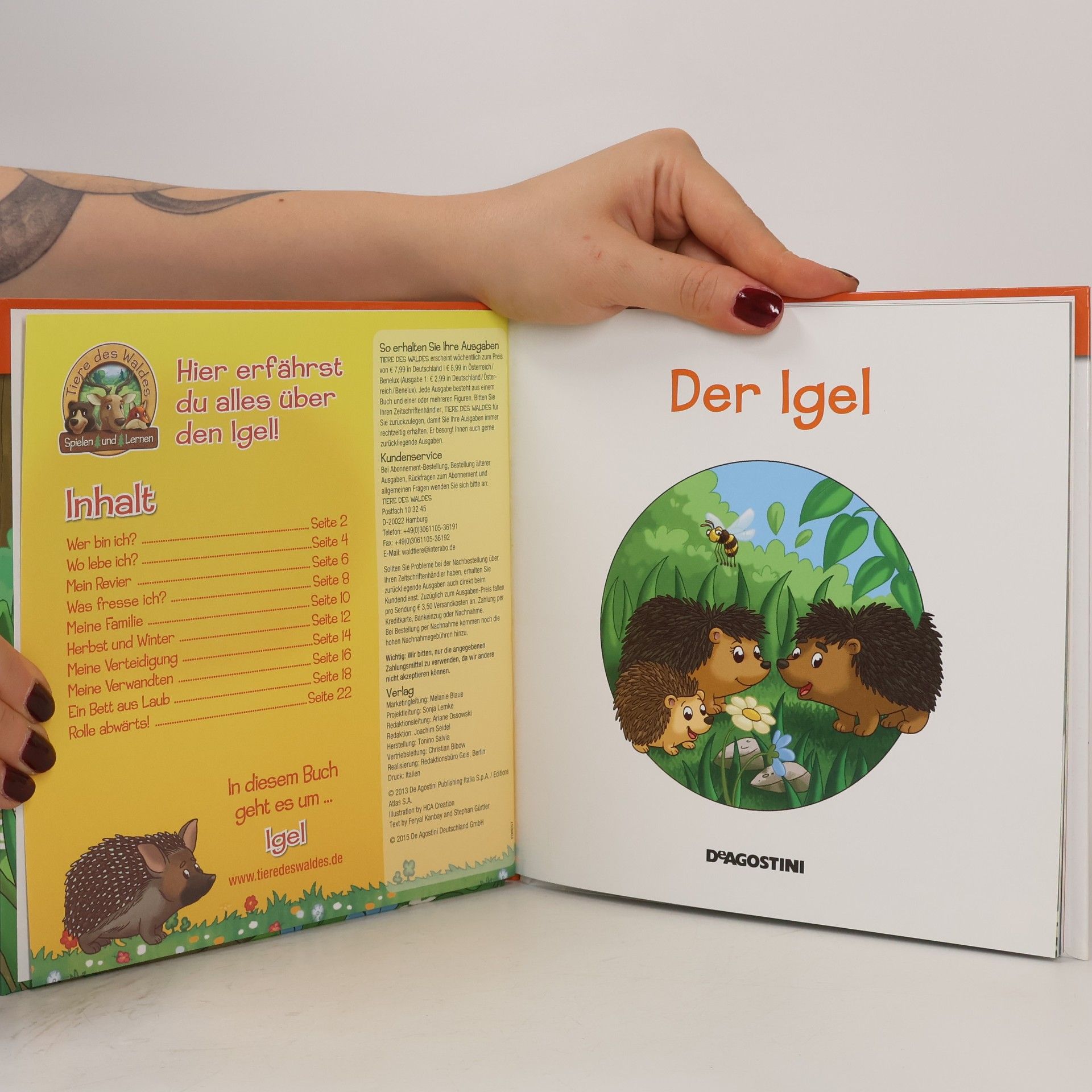 Kolektiv autorů Legen am Waldrand 8. Der Igel