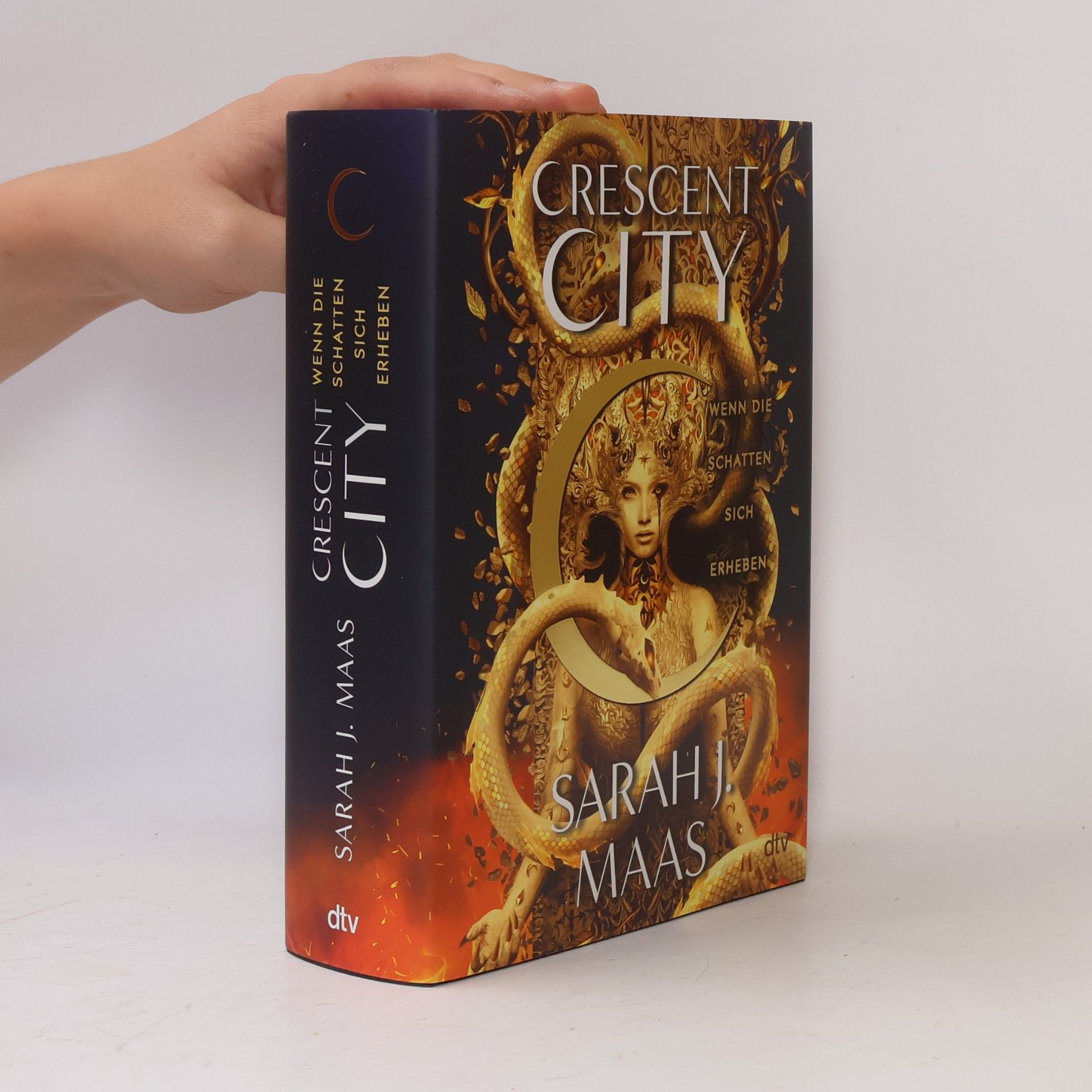 Crescent City – Wenn die Schatten sich erheben