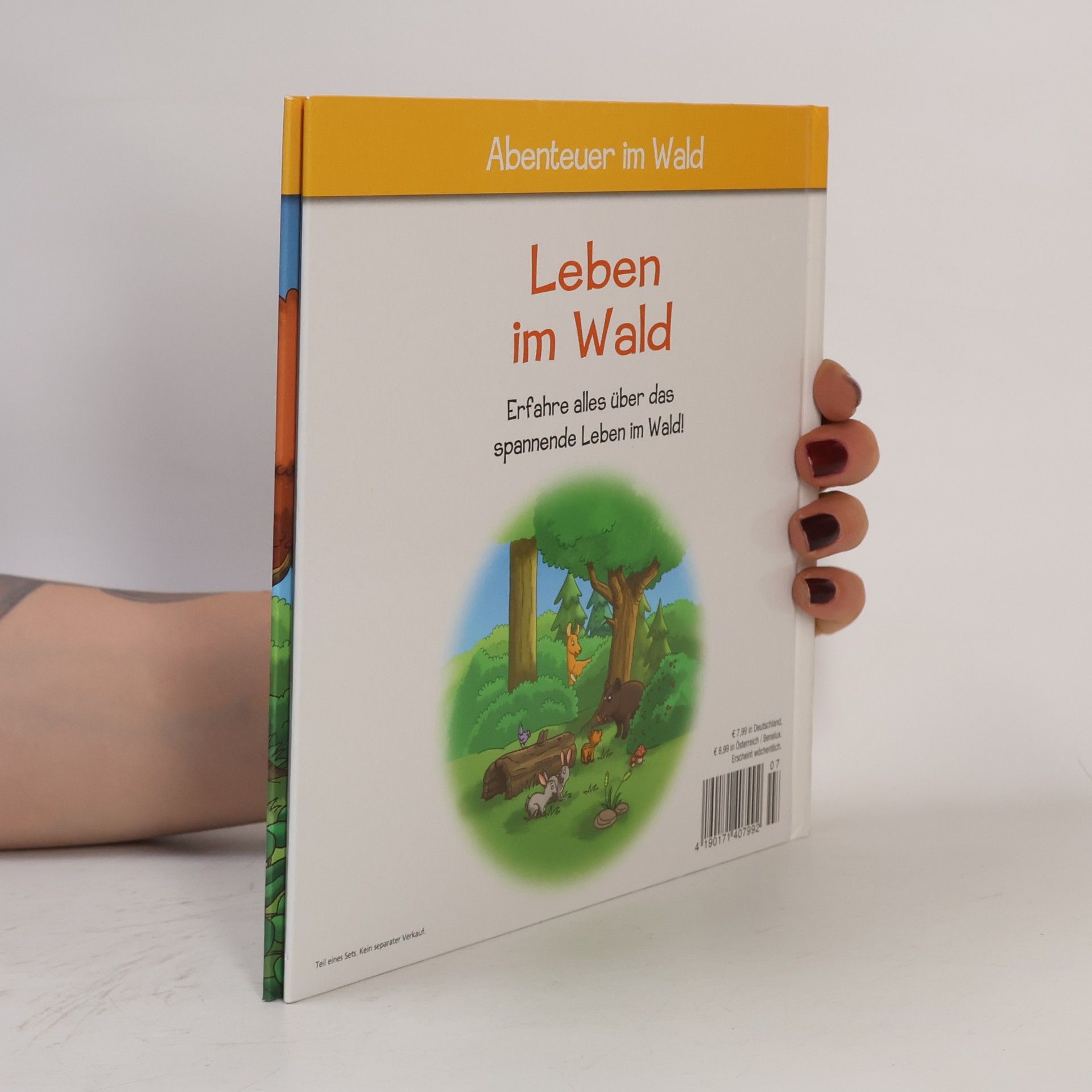 Autorenkollektiv Abenteuer im Wald 7. Leben im Wald